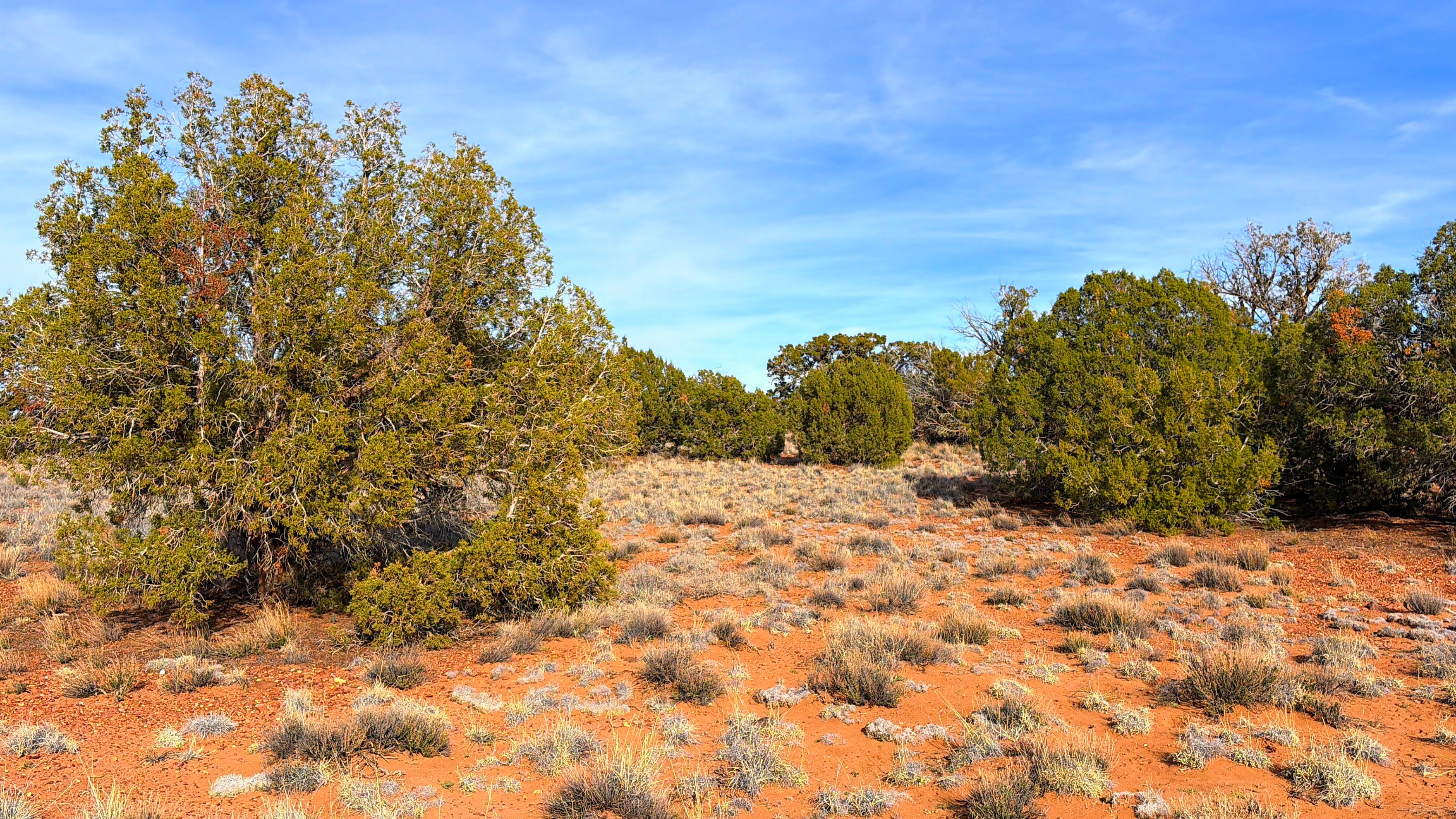 Snowflake AZ — 1.2 acres with financing available, Snowflake AZ — photo 7