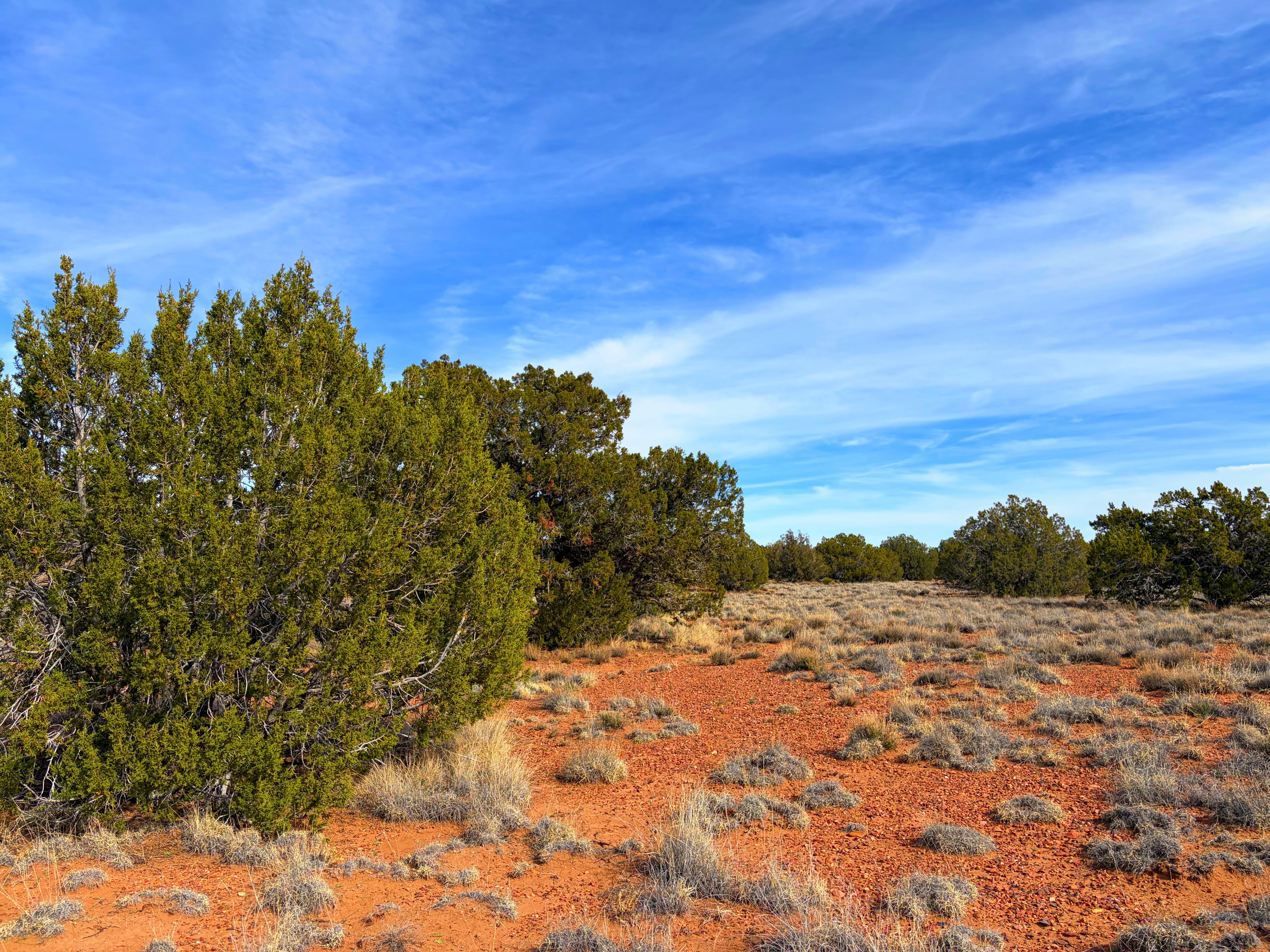 Snowflake AZ — 1.2 acres with financing available, Snowflake AZ — photo 20