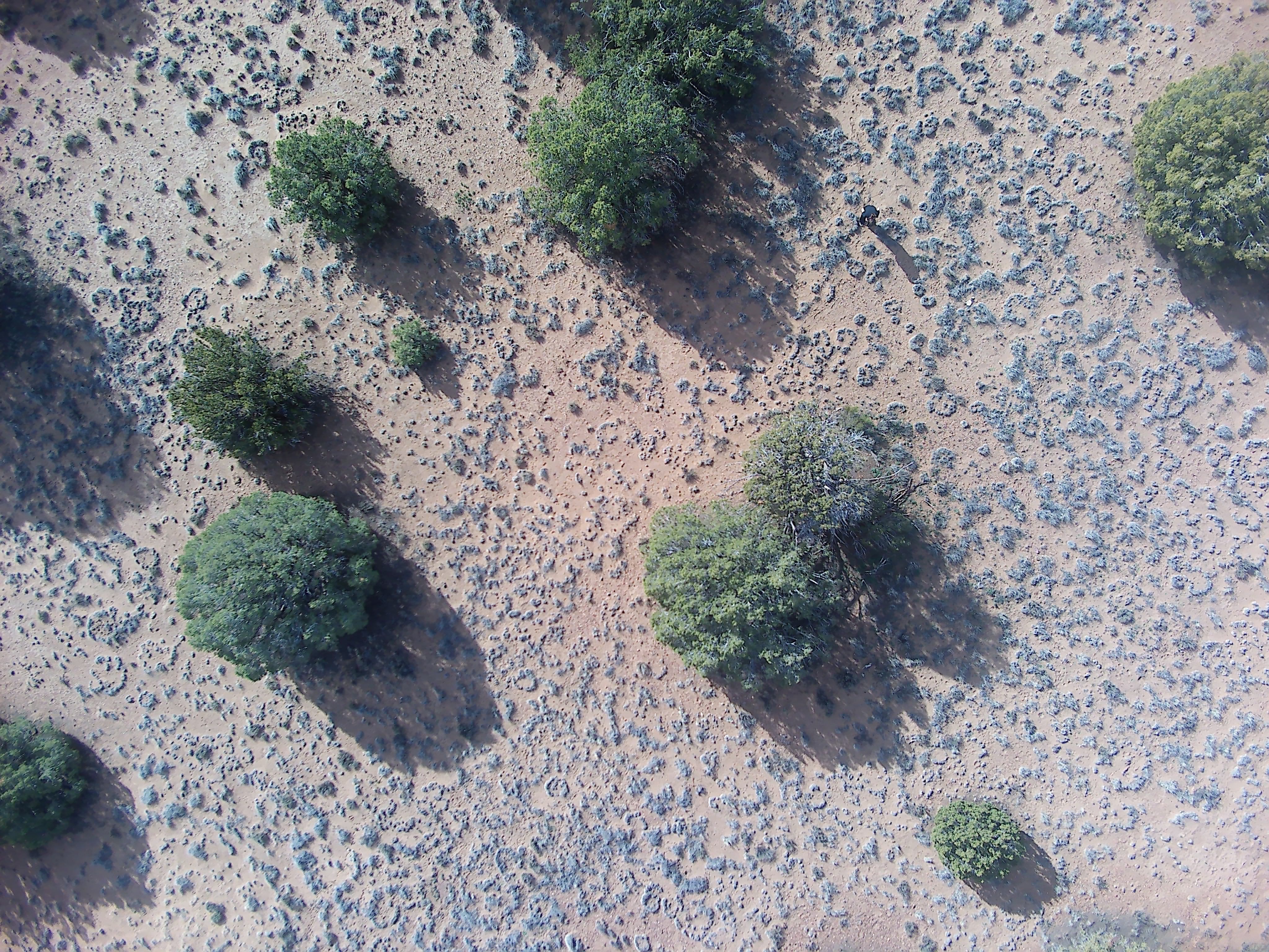 Snowflake AZ — 1.2 acres with financing available, Snowflake AZ — photo 6