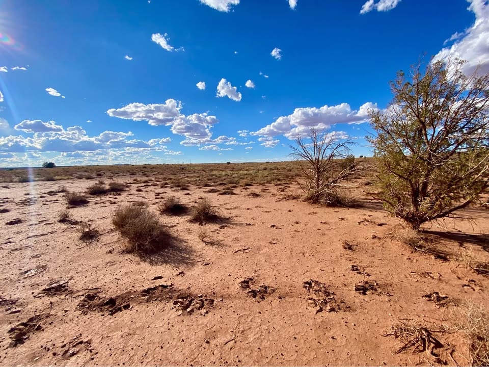 Snowflake AZ — 1.26 acres with financing available, Snowflake AZ — photo 6