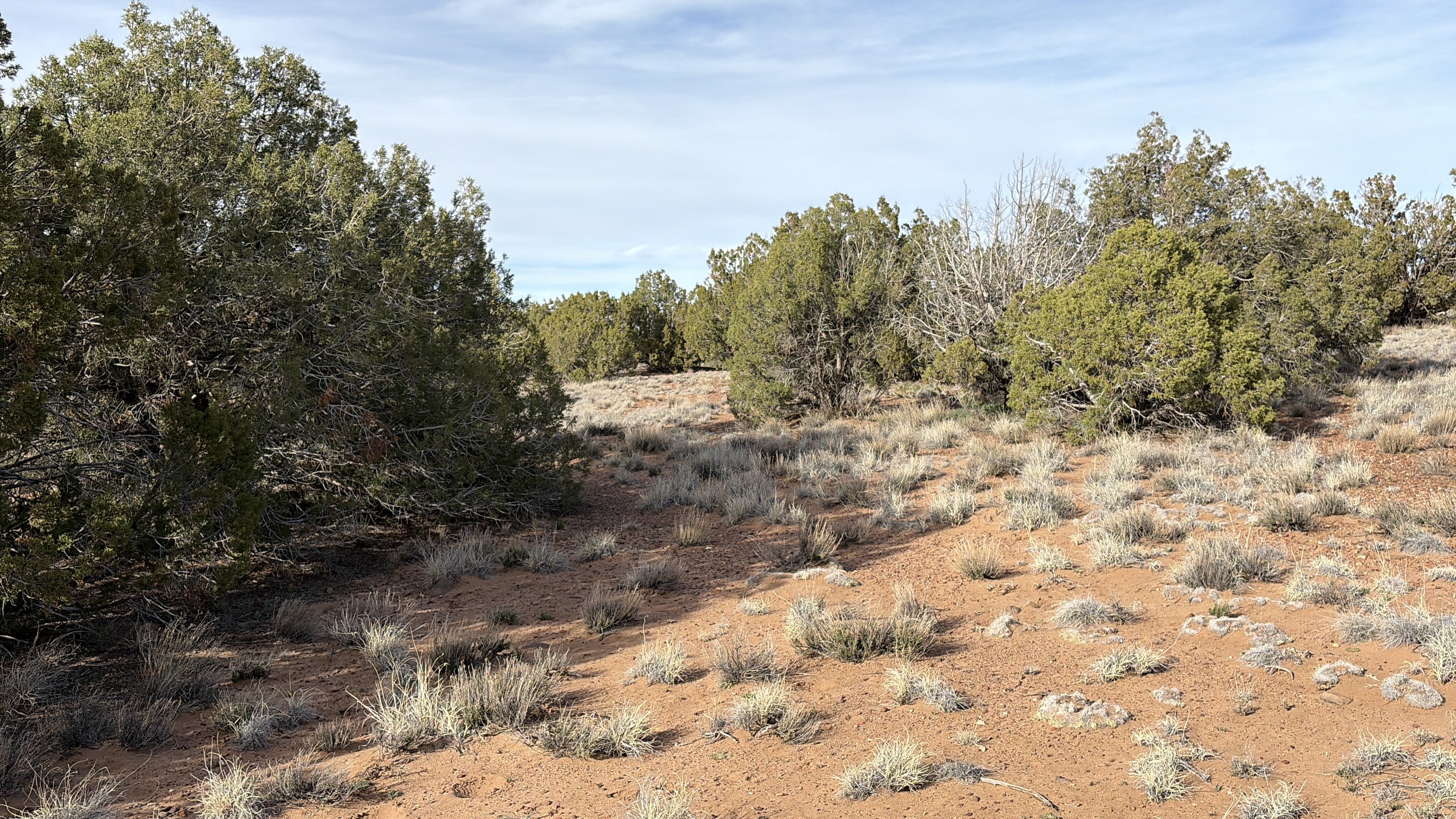 Snowflake AZ — 1.2 acres with financing available, Snowflake AZ — photo 10