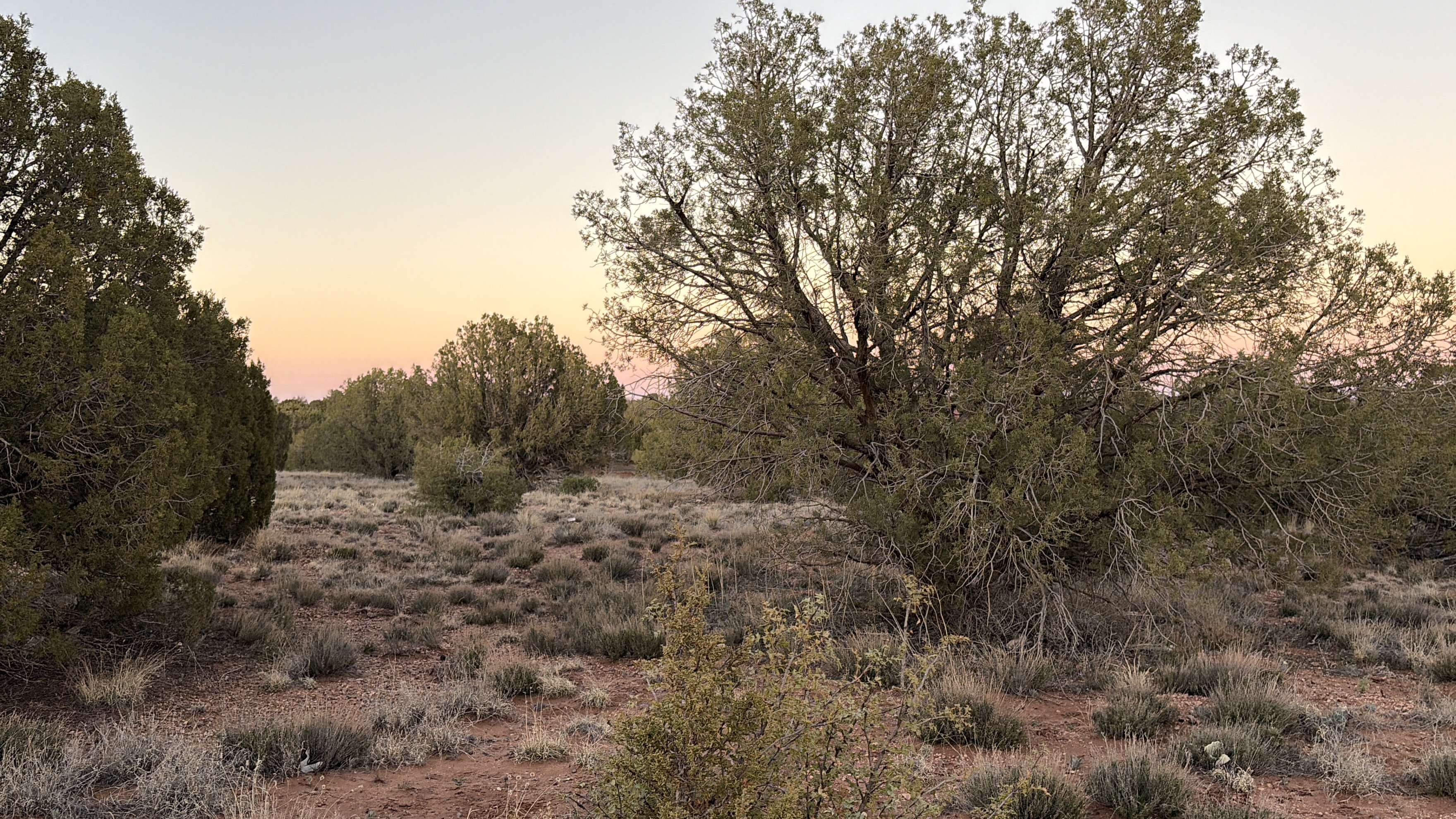Snowflake AZ — 1.12 acres with financing available, Snowflake AZ — photo 24