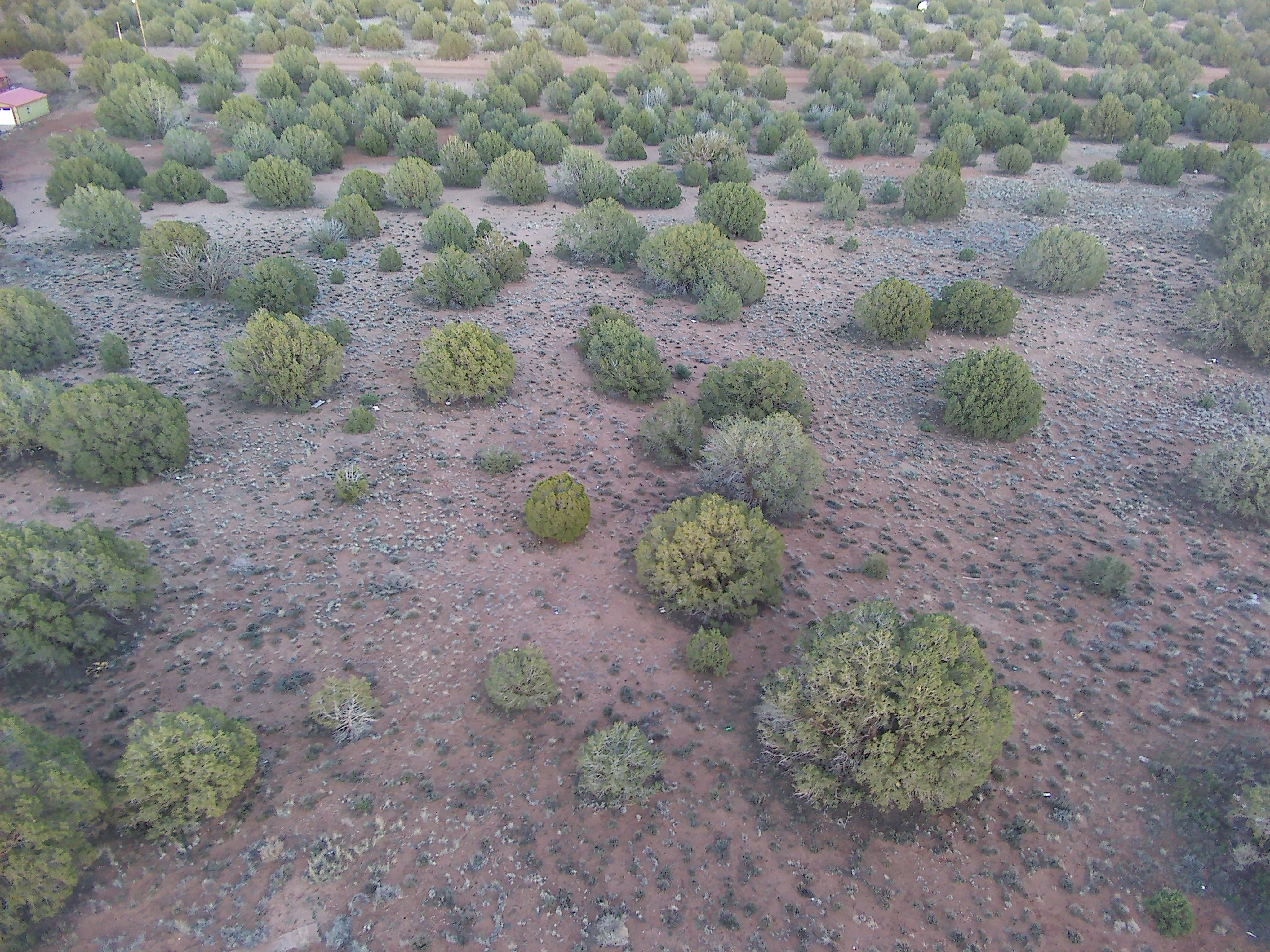 Snowflake AZ — 1.12 acres with financing available, Snowflake AZ — photo 4
