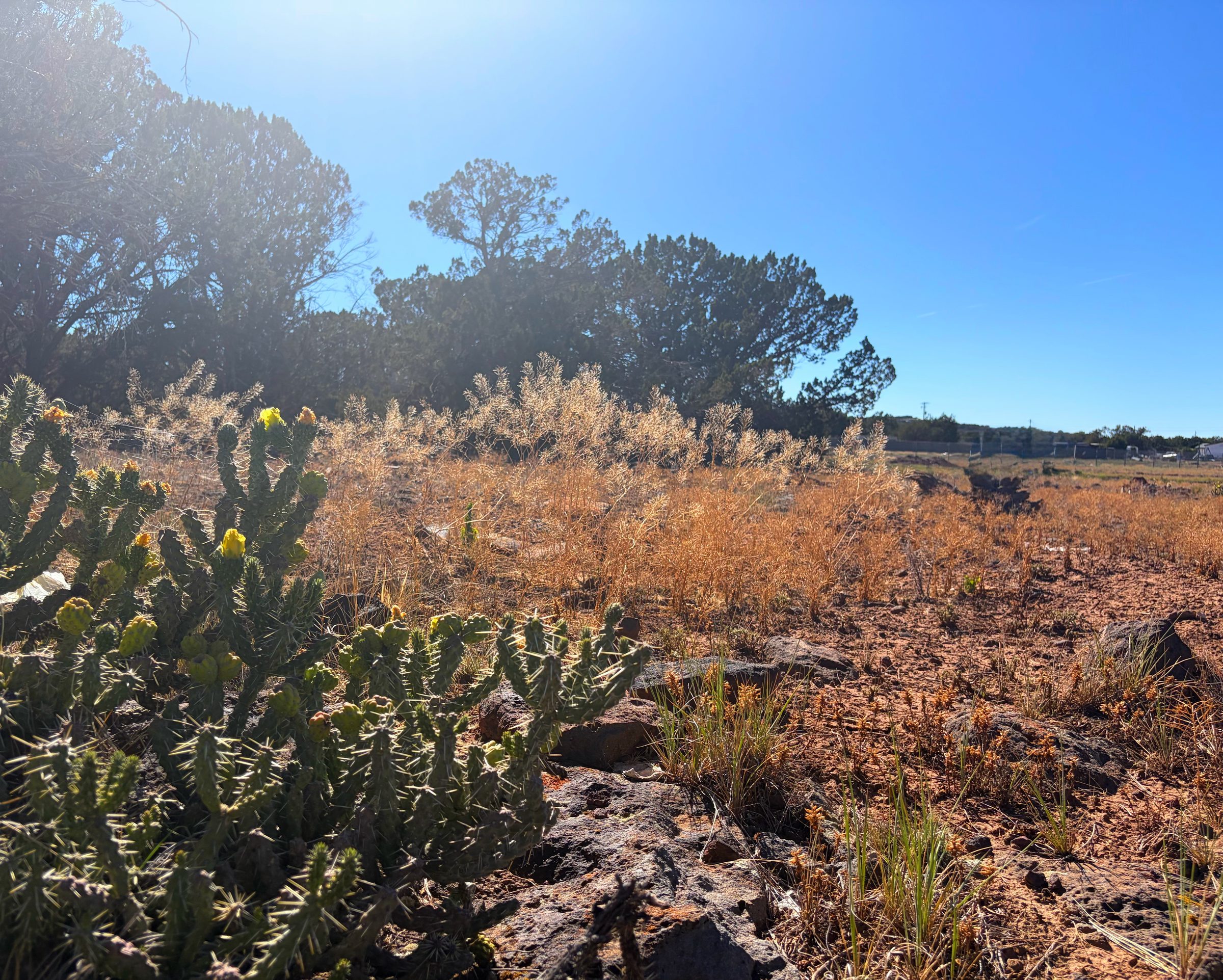1.2 Acres in Show Low | White Mountains Getaway, Show Low AZ — photo 25
