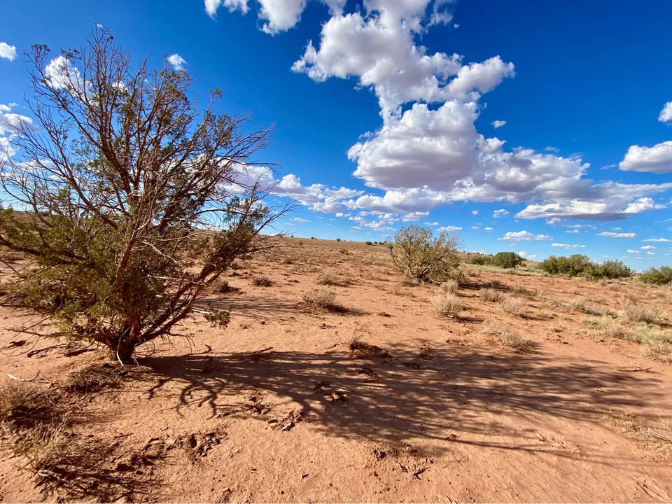 Snowflake AZ — 1.26 acres with financing available, Snowflake AZ — photo 5