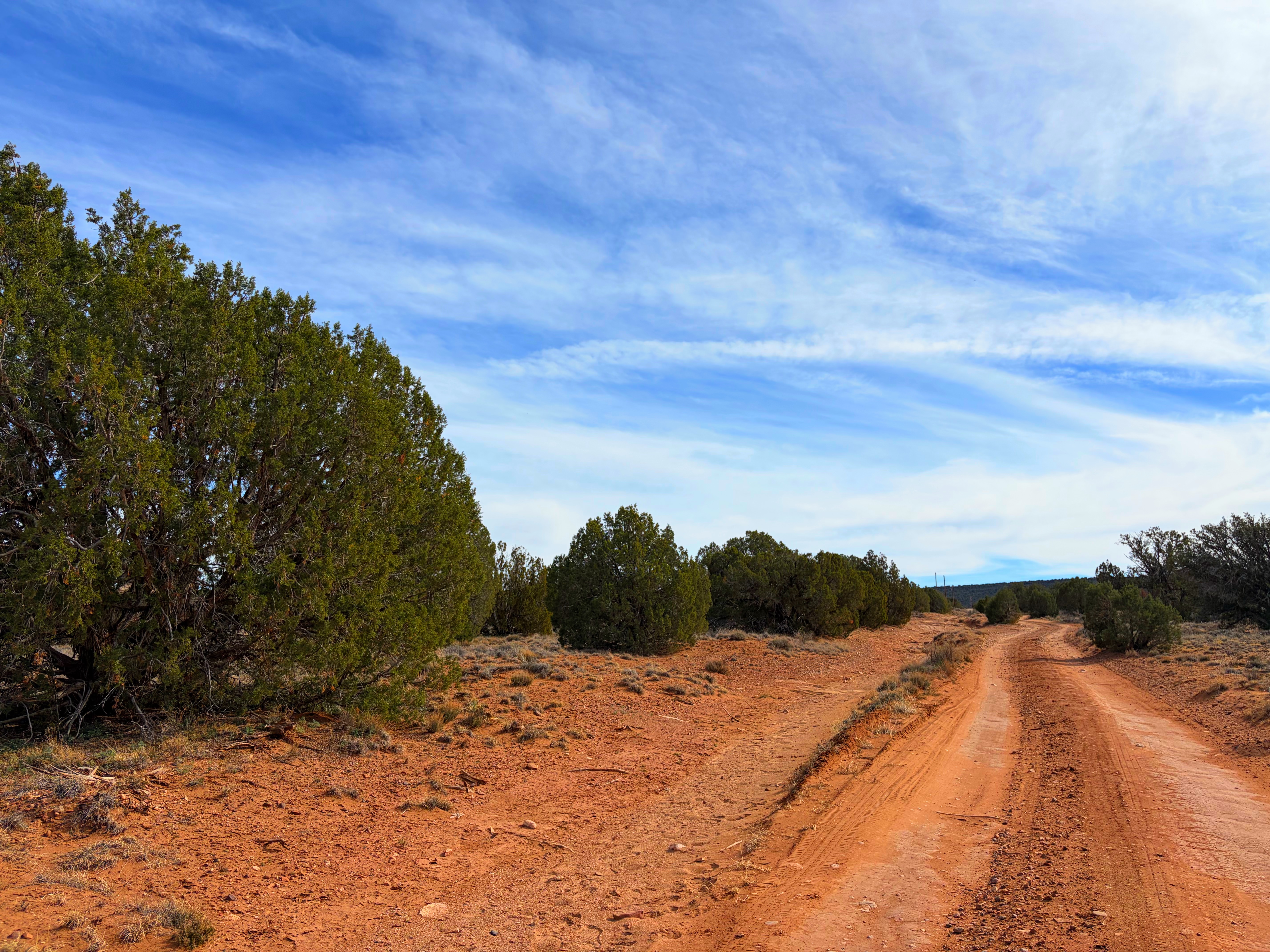 Snowflake AZ — 1.2 acres with financing available, Snowflake AZ — photo 29
