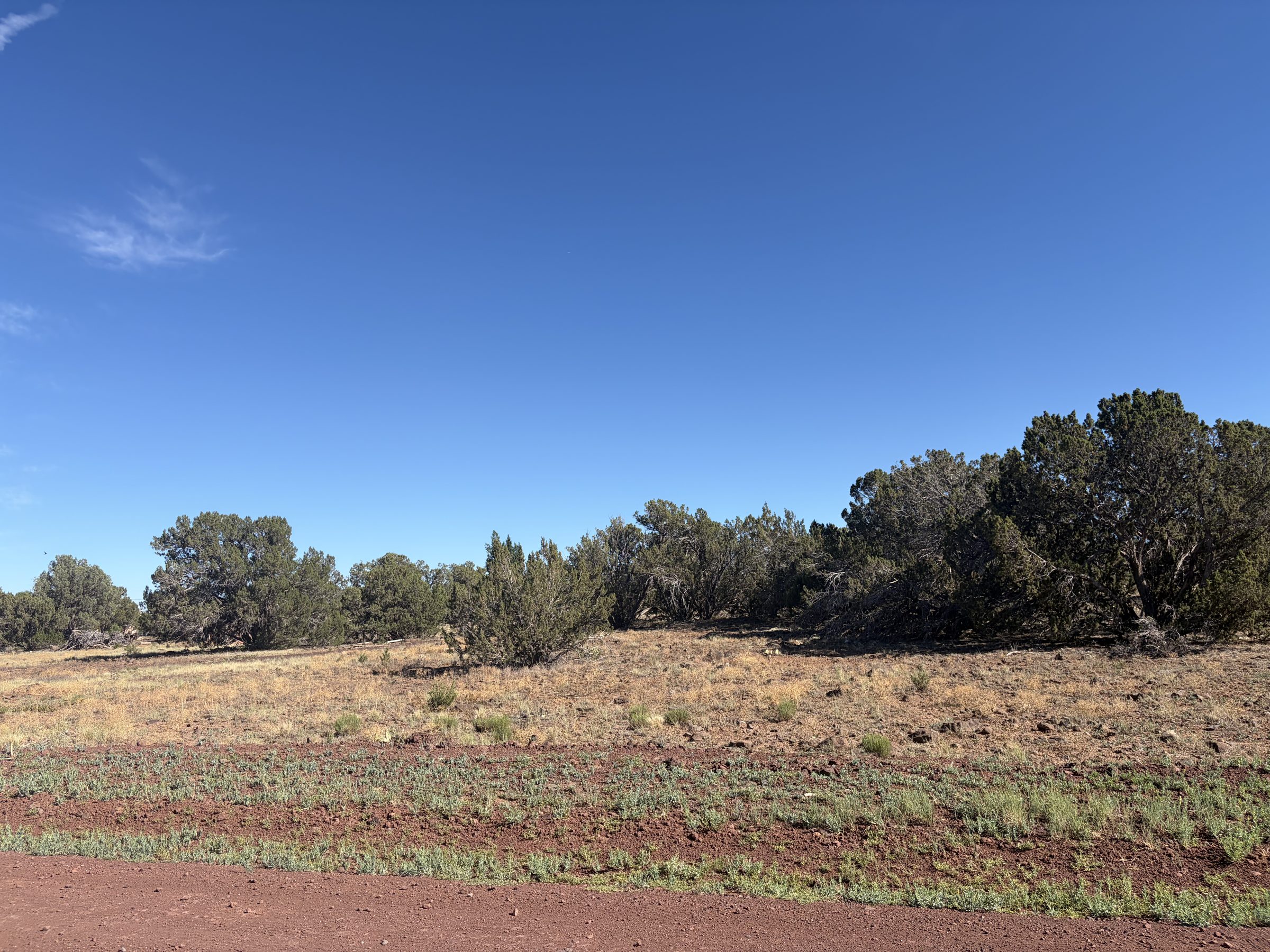 1.2 Acres in Show Low | White Mountains Getaway, Show Low AZ — photo 34