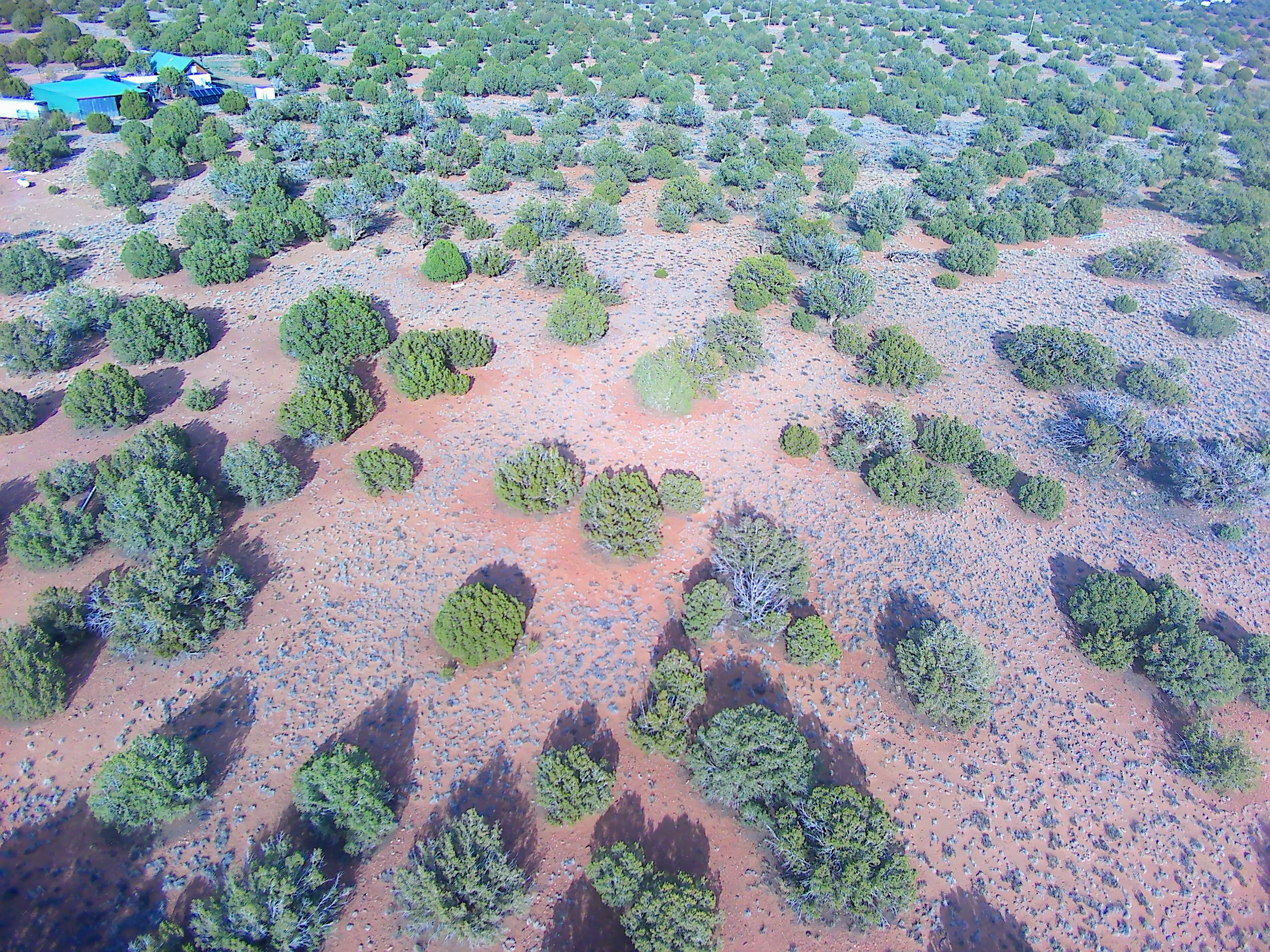 Snowflake AZ — 1.2 acres with financing available, Snowflake AZ — photo 15