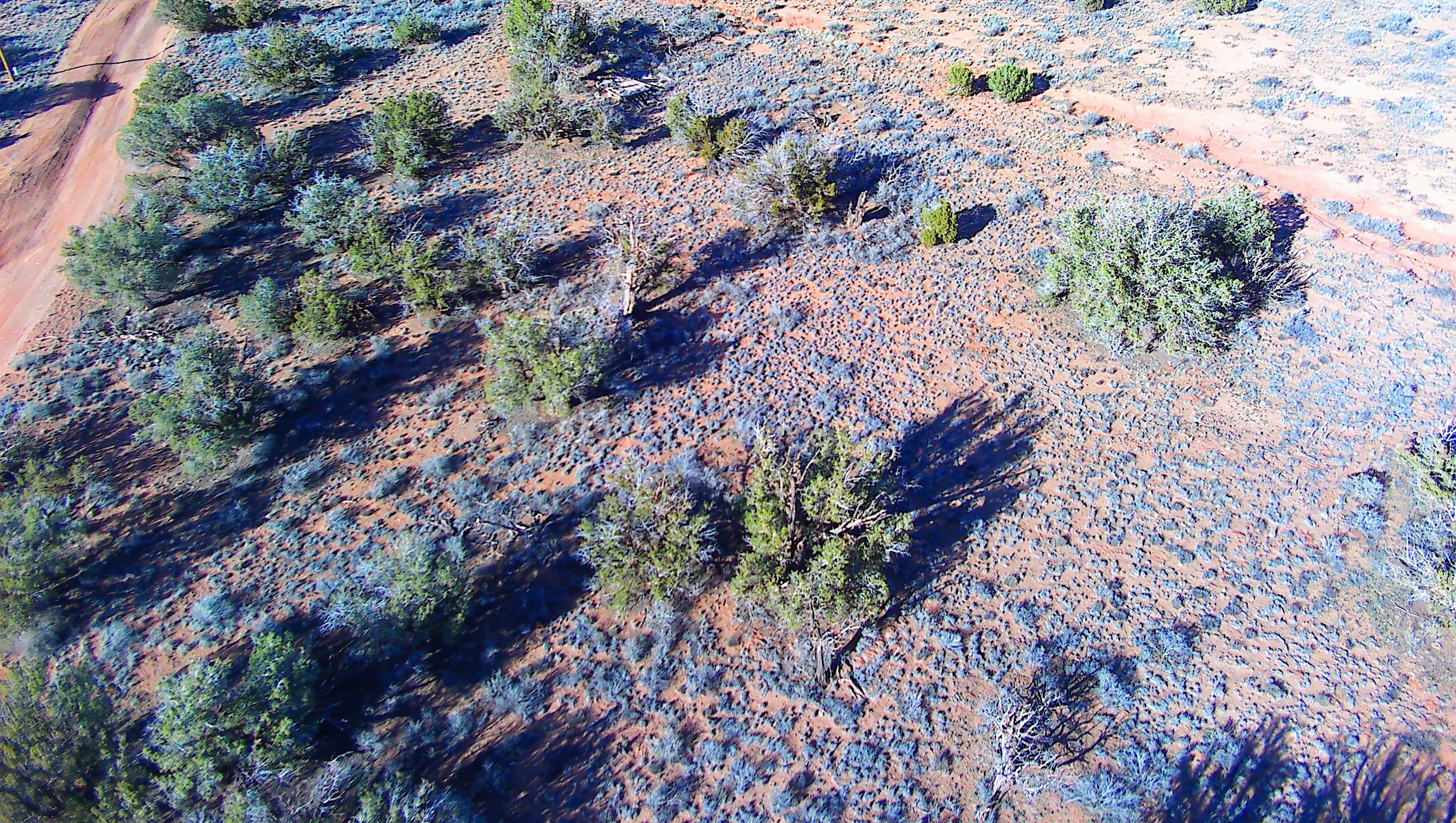 Snowflake AZ — 1.18 acres with financing available, Snowflake AZ — photo 2