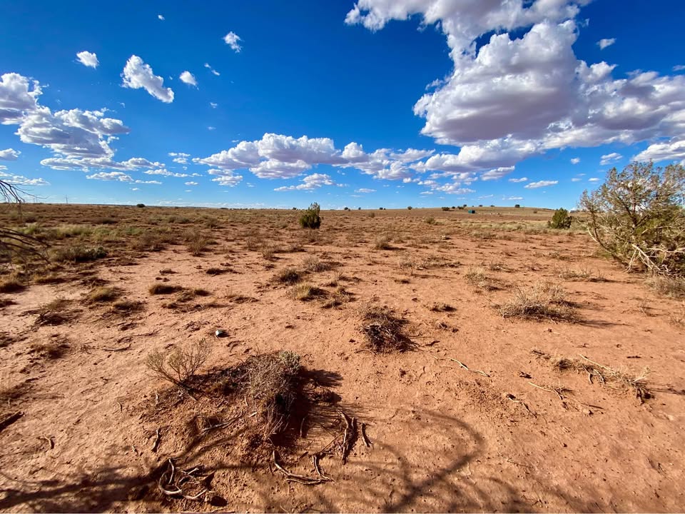 Snowflake AZ — 1.26 acres with financing available, Snowflake AZ — photo 14