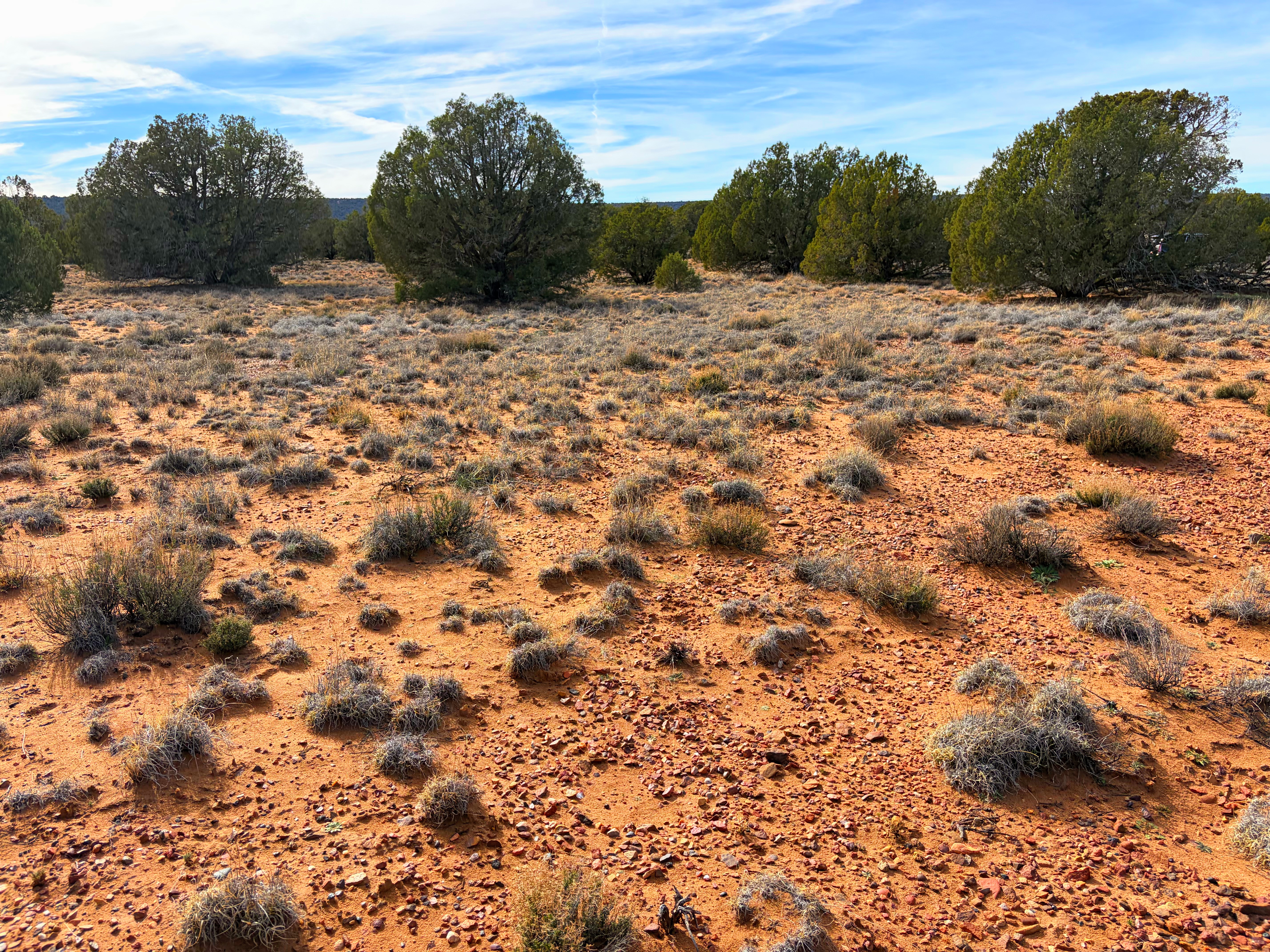 Snowflake AZ — 1.2 acres with financing available, Snowflake AZ — photo 22