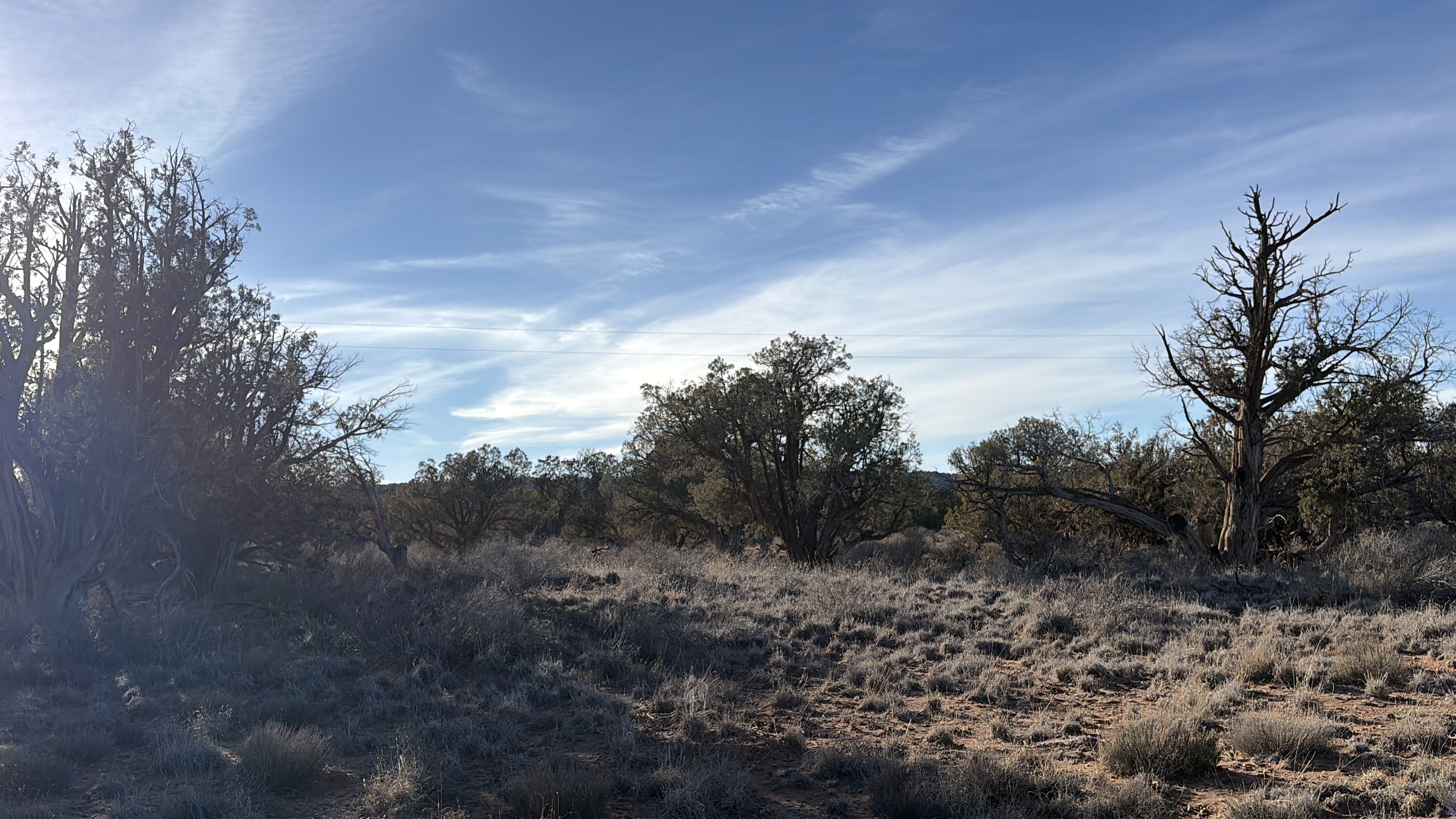 Snowflake AZ — 1.18 acres with financing available, Snowflake AZ — photo 10