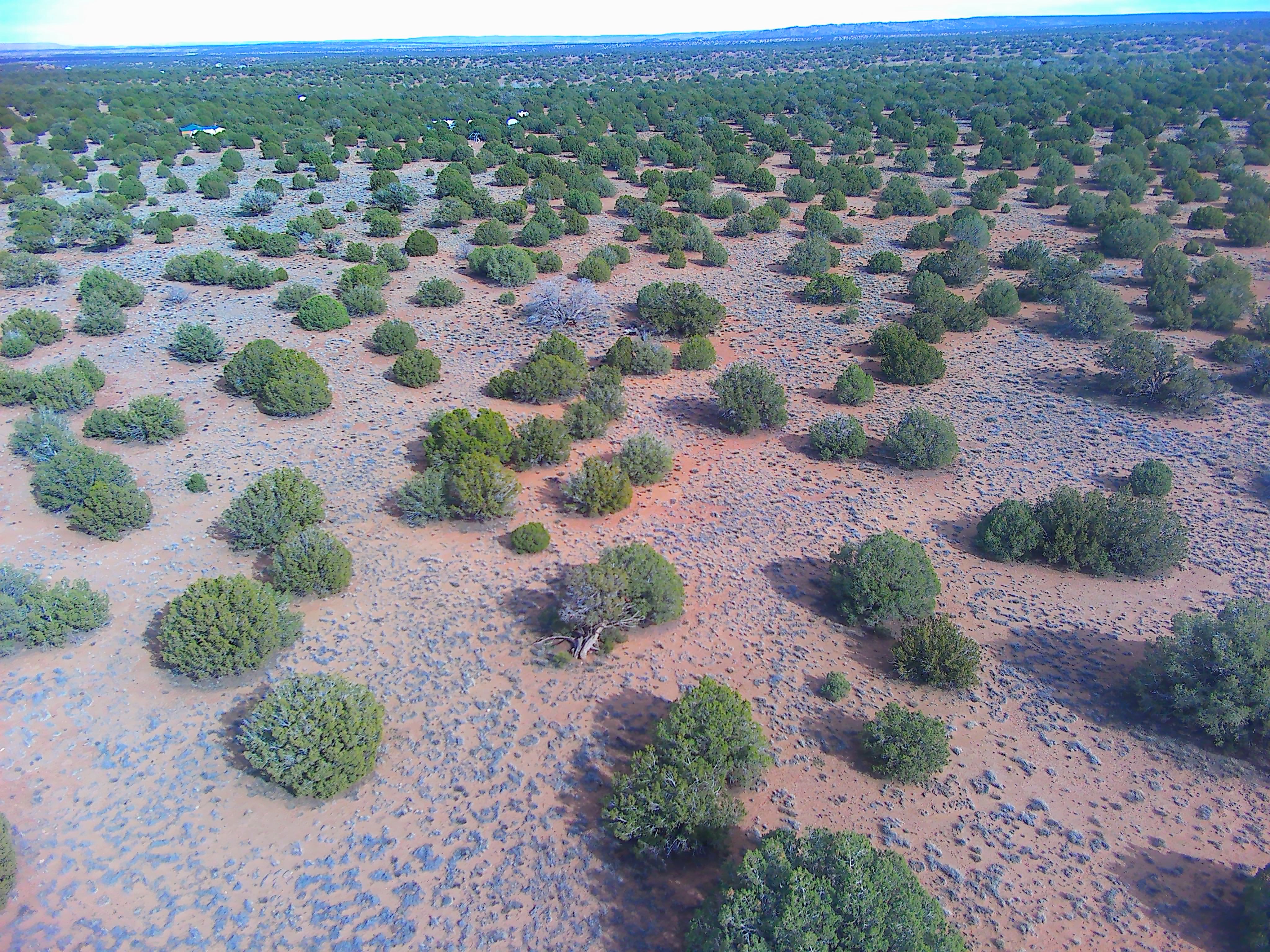 Snowflake AZ — 1.2 acres with financing available, Snowflake AZ — photo 3