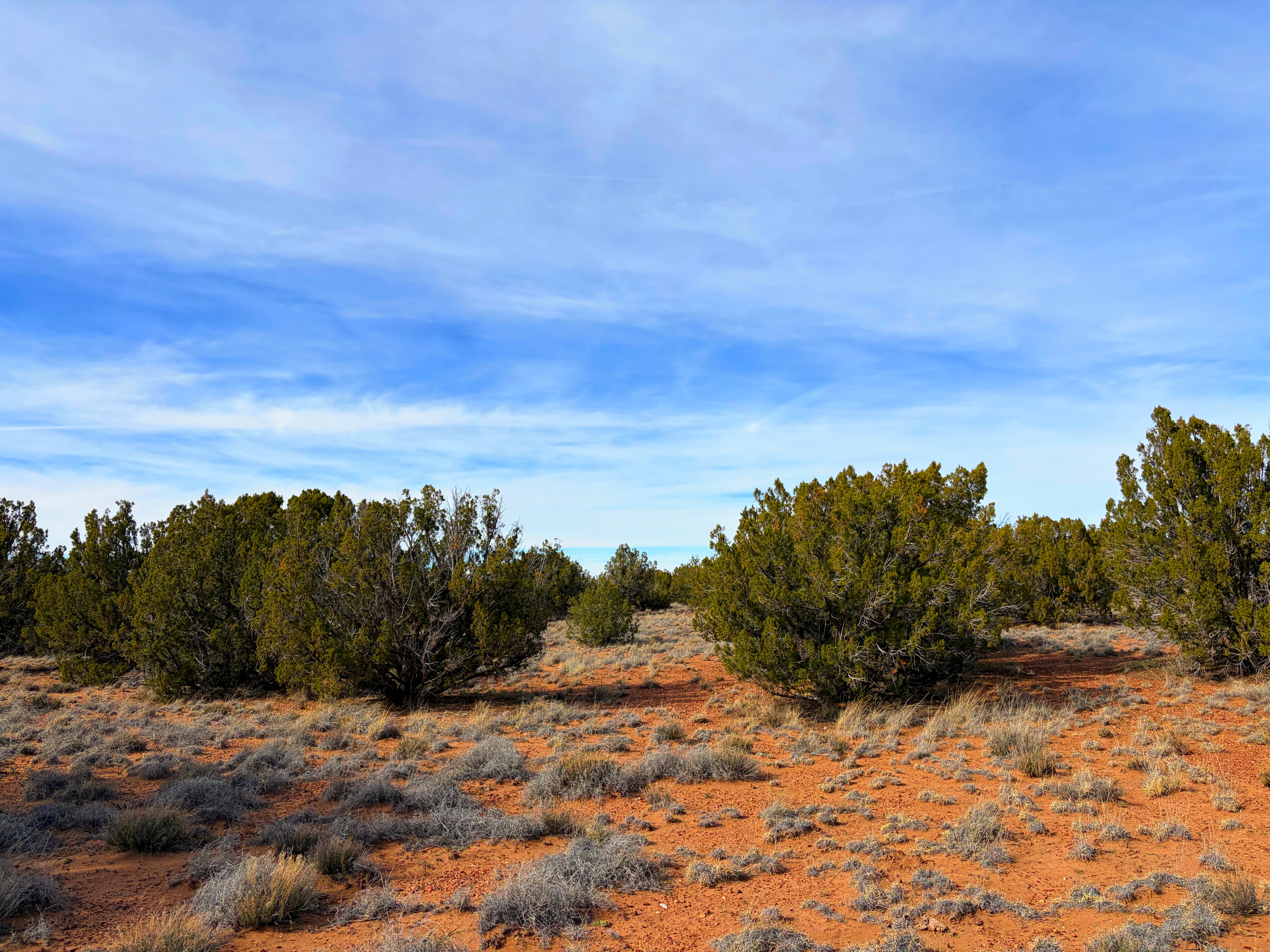 Snowflake AZ — 1.2 acres with financing available, Snowflake AZ — photo 19