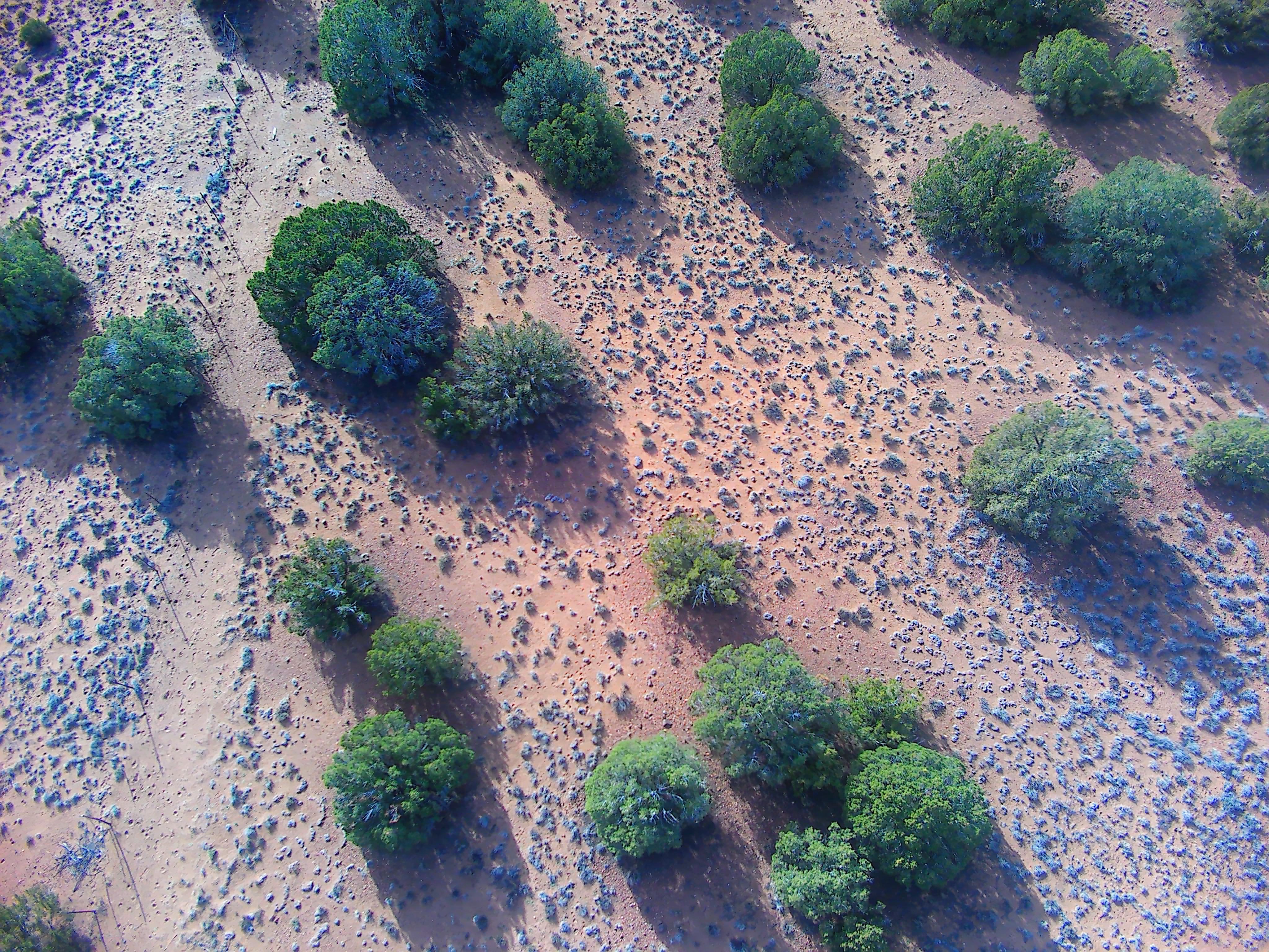 Snowflake AZ — 1.2 acres with financing available, Snowflake AZ — photo 14