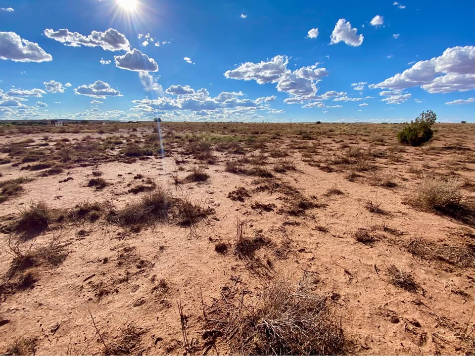 Snowflake AZ — 1.26 acres with financing available, Snowflake AZ — photo 9