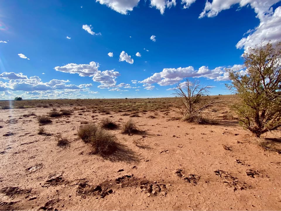 Snowflake AZ — 1.26 acres with financing available, Snowflake AZ — photo 8