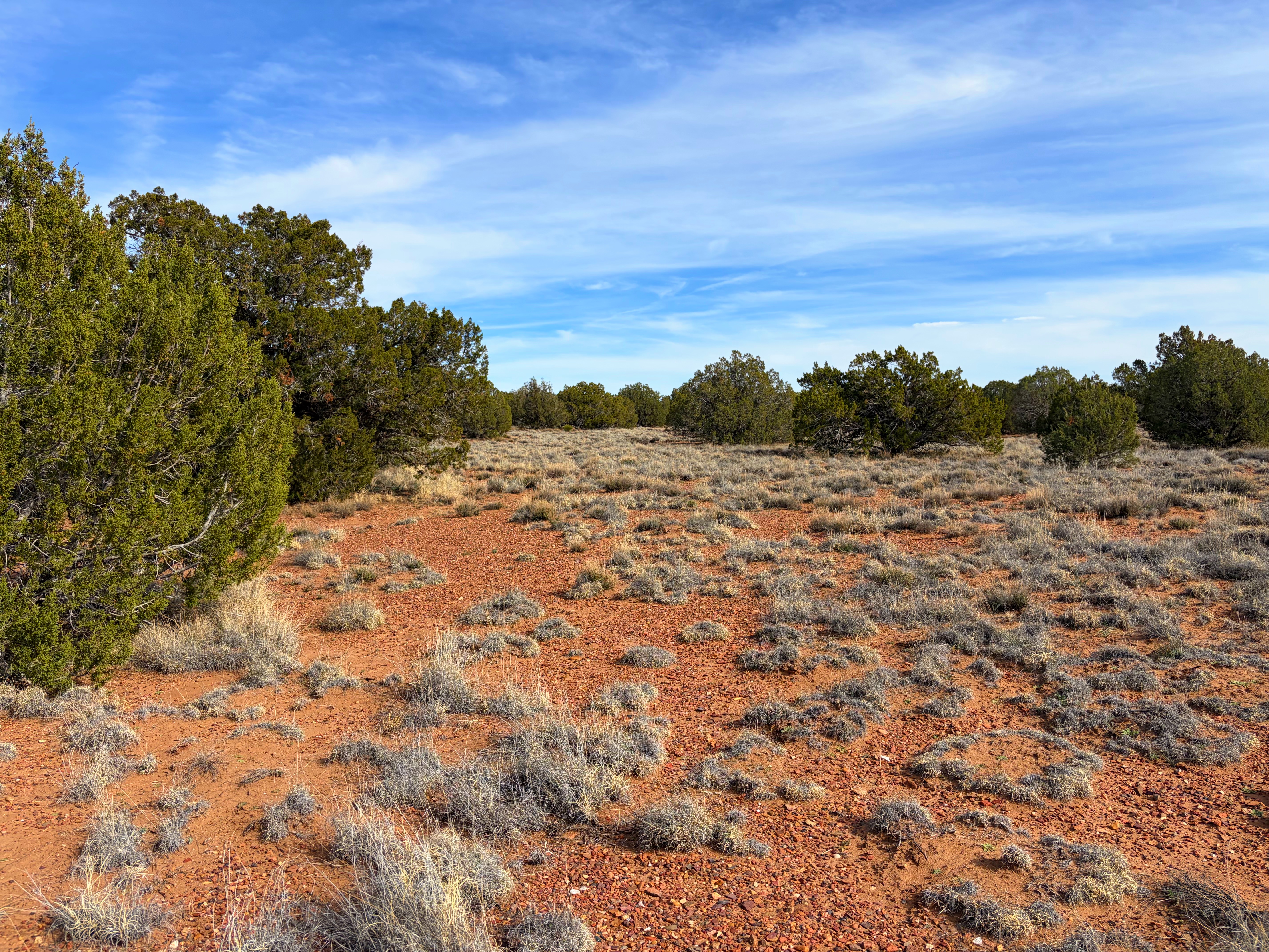 Snowflake AZ — 1.2 acres with financing available, Snowflake AZ — photo 18