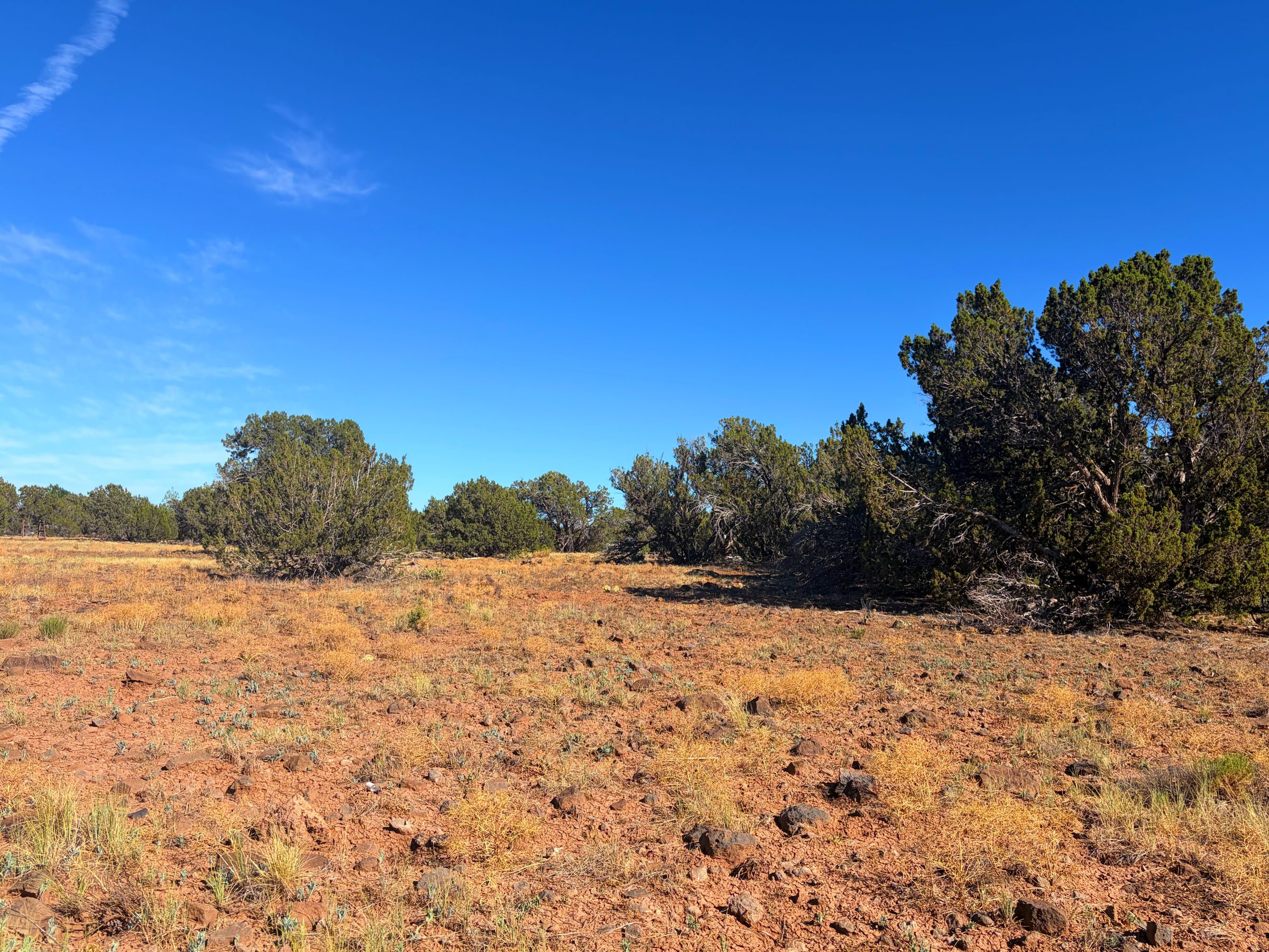 1.2 Acres in Show Low | White Mountains Getaway, Show Low AZ — photo 37