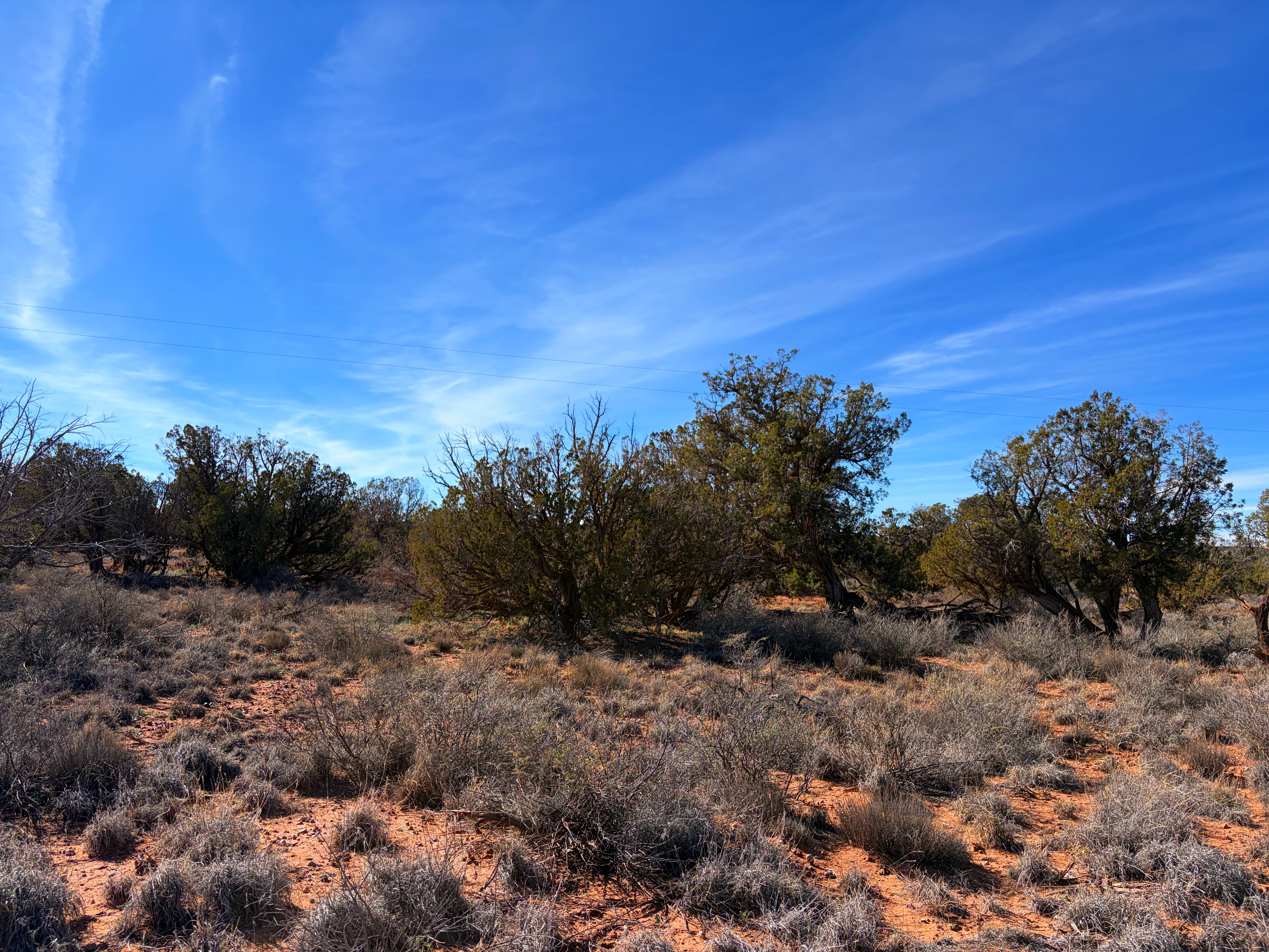 Snowflake AZ — 1.18 acres with financing available, Snowflake AZ — photo 11