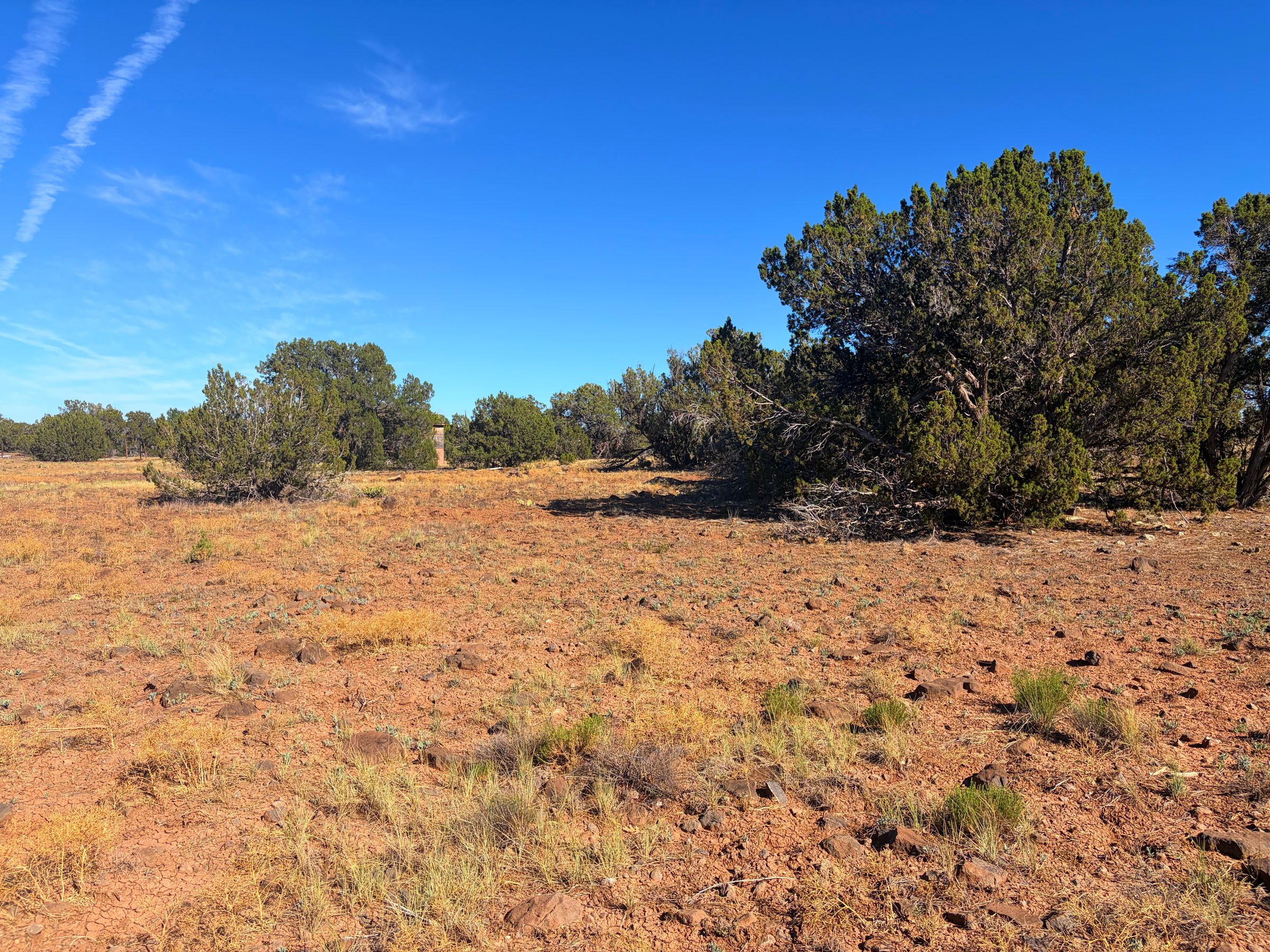 1.2 Acres in Show Low | White Mountains Getaway, Show Low AZ — photo 36