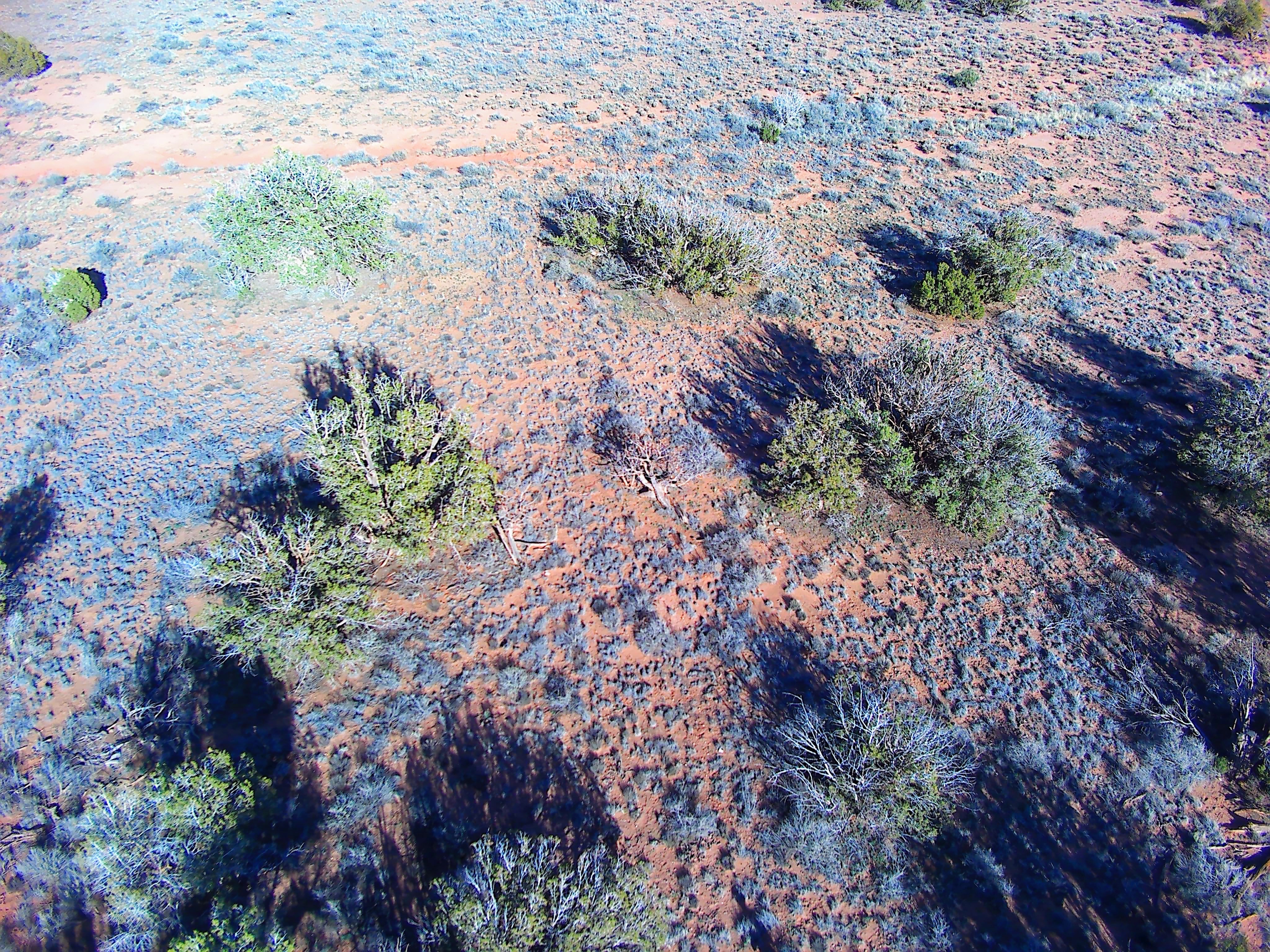 Snowflake AZ — 1.18 acres with financing available, Snowflake AZ — photo 3