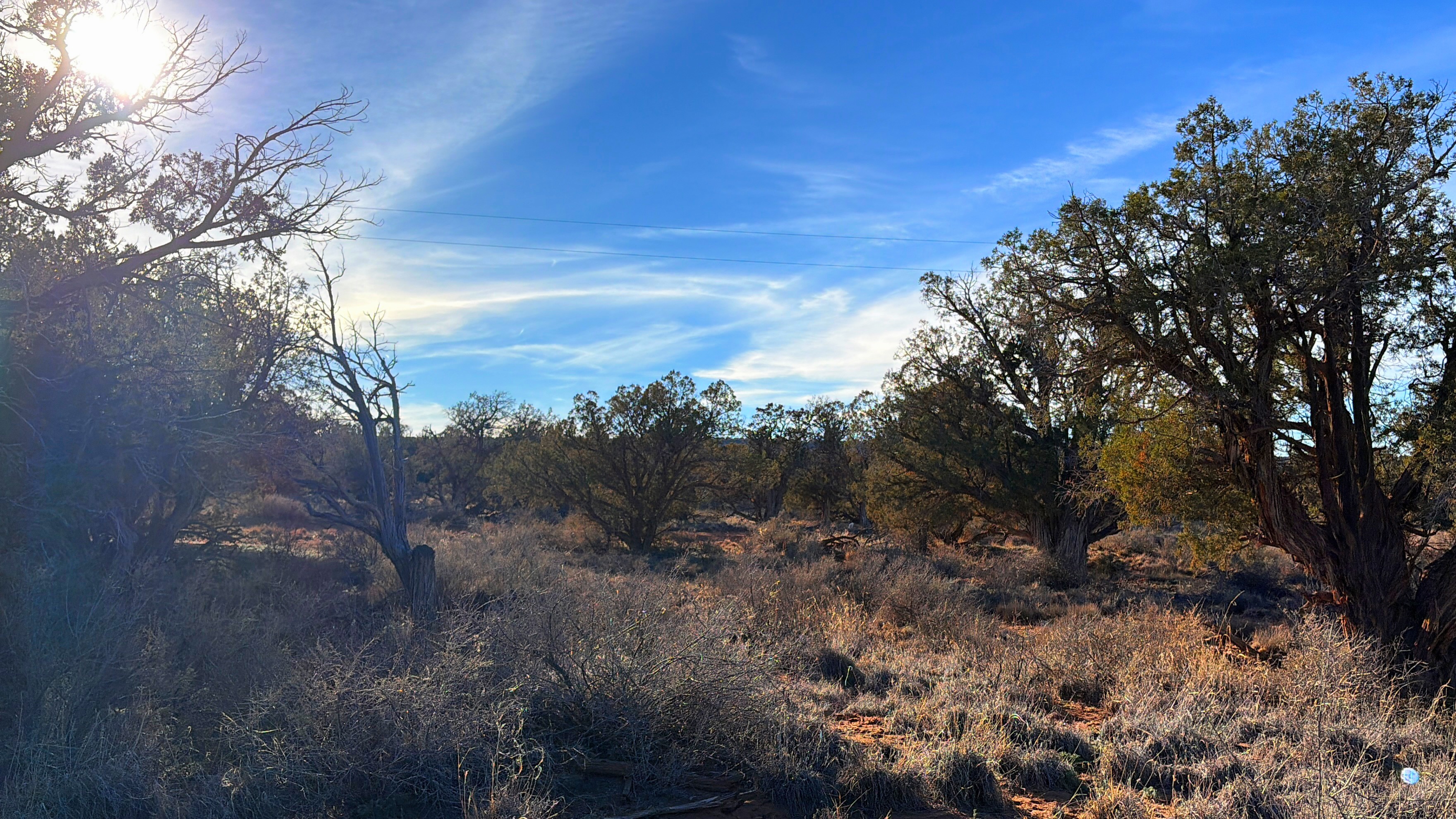Snowflake AZ — 1.18 acres with financing available, Snowflake AZ — photo 6