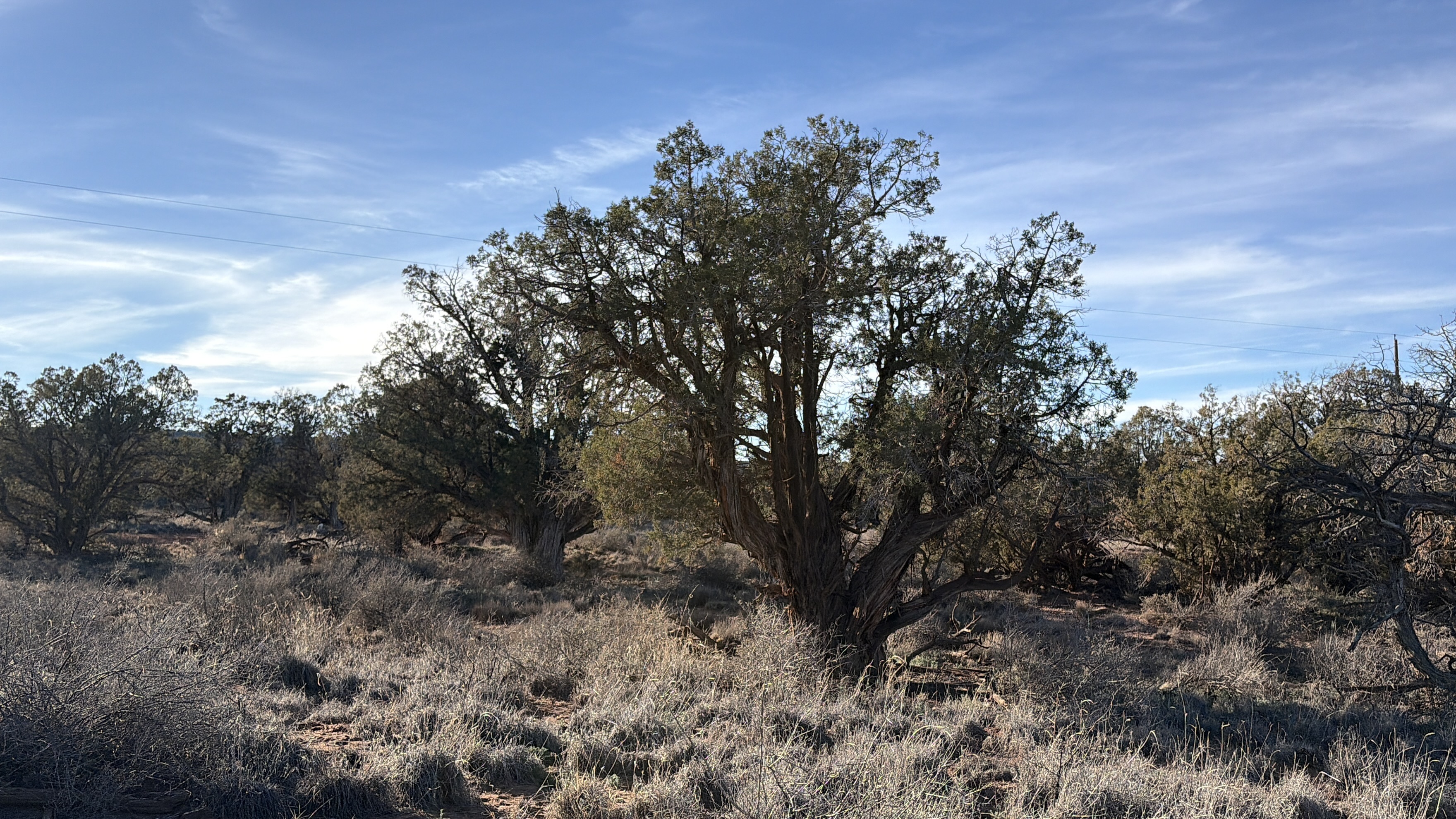Snowflake AZ — 1.18 acres with financing available, Snowflake AZ — photo 7