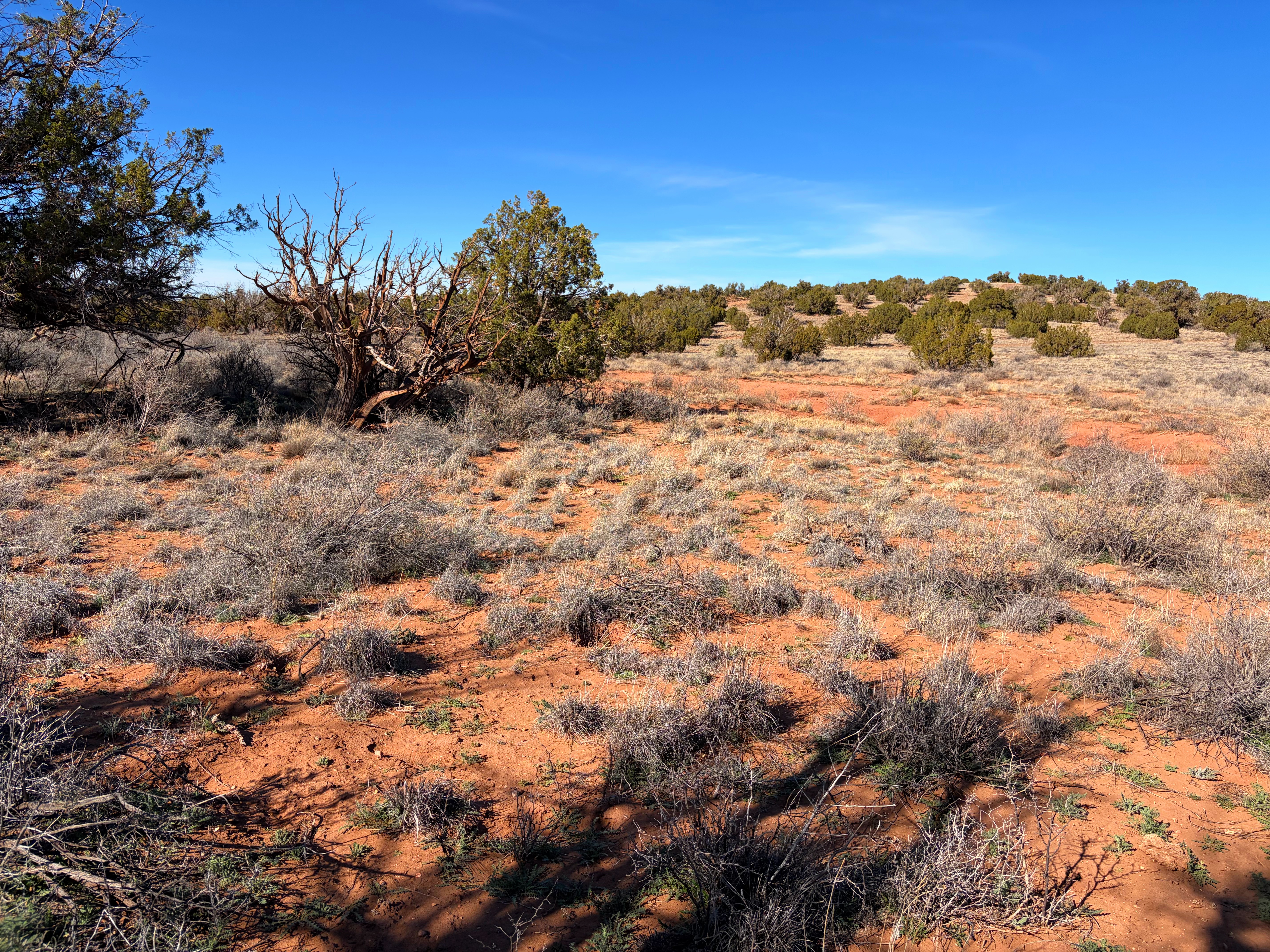 Snowflake AZ — 1.18 acres with financing available, Snowflake AZ — photo 15