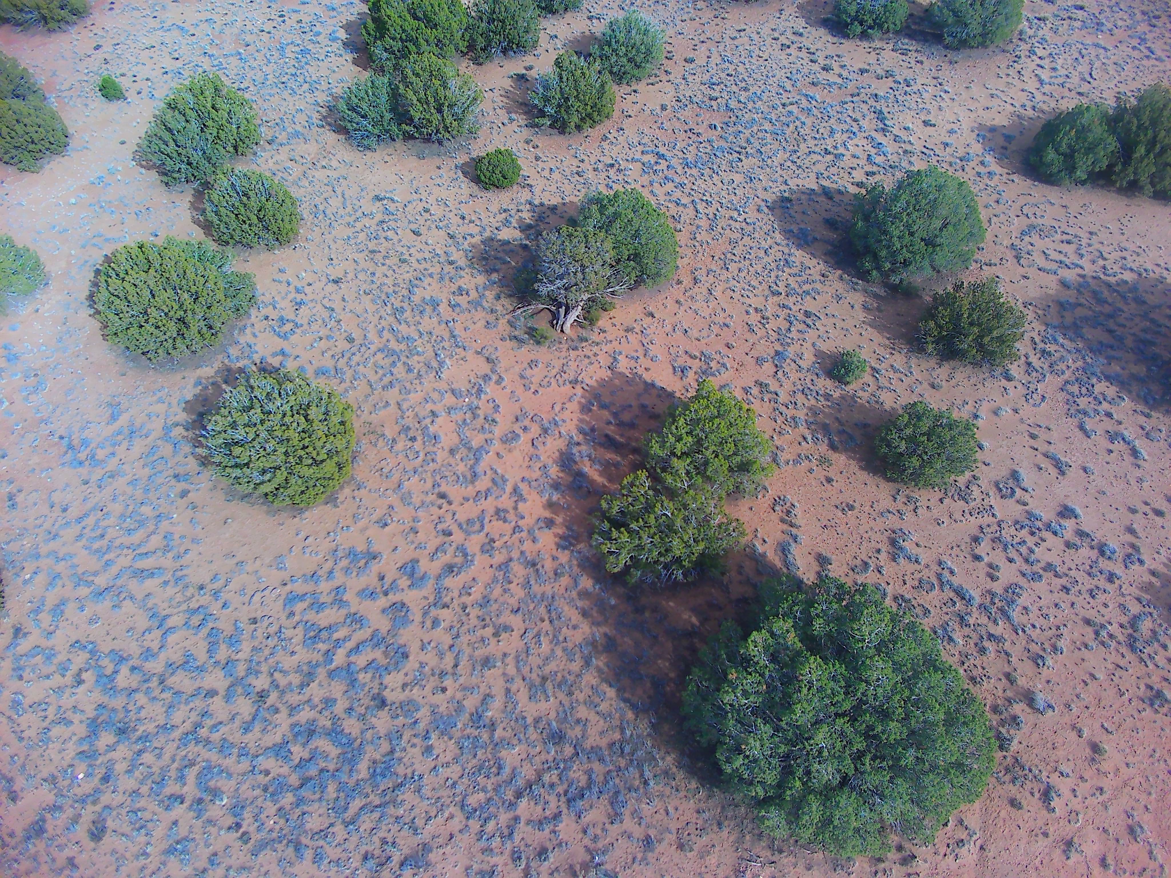 Snowflake AZ — 1.2 acres with financing available, Snowflake AZ — photo 2