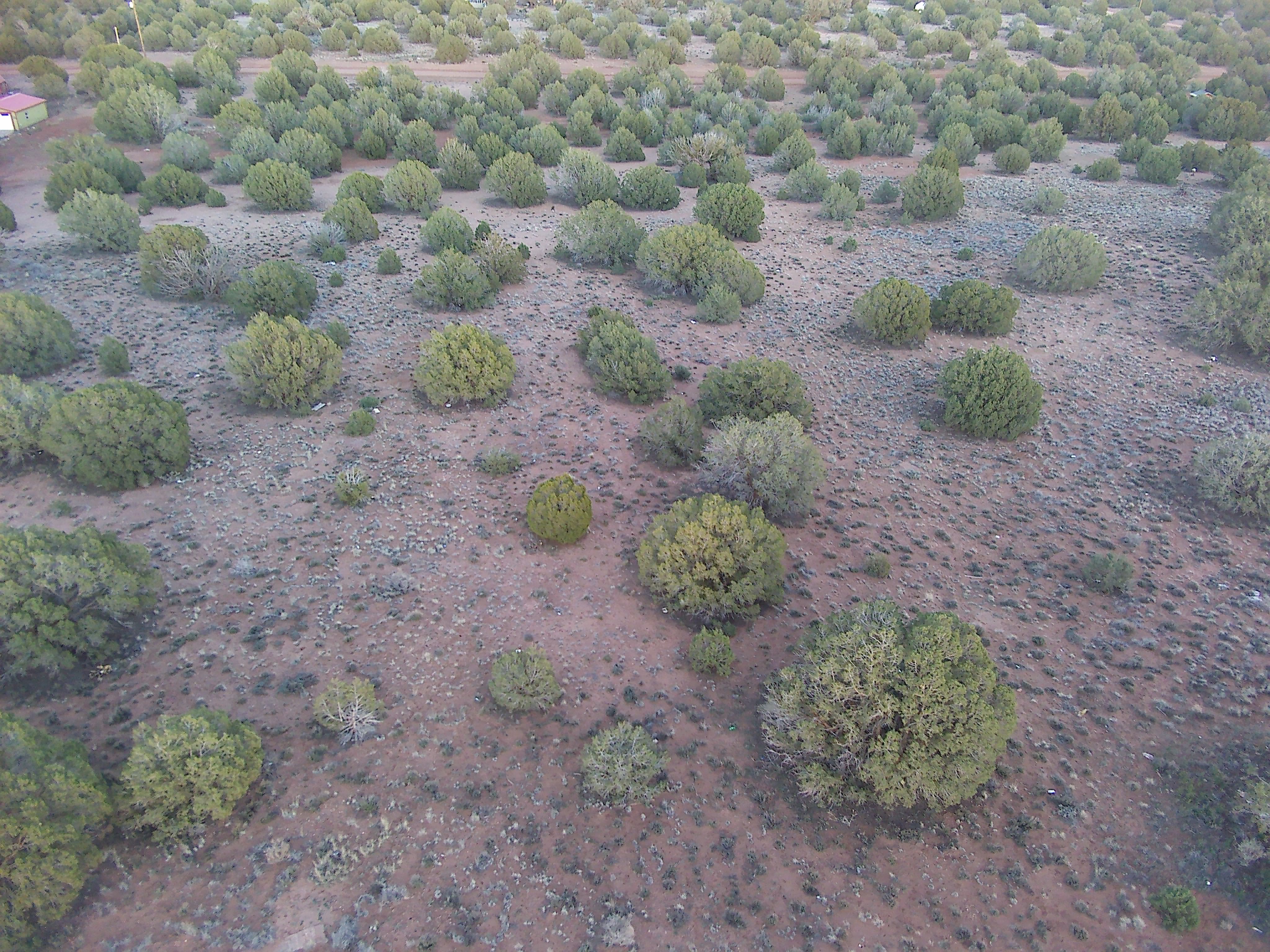 Snowflake AZ — 1.12 acres with financing available, Snowflake AZ — photo 5