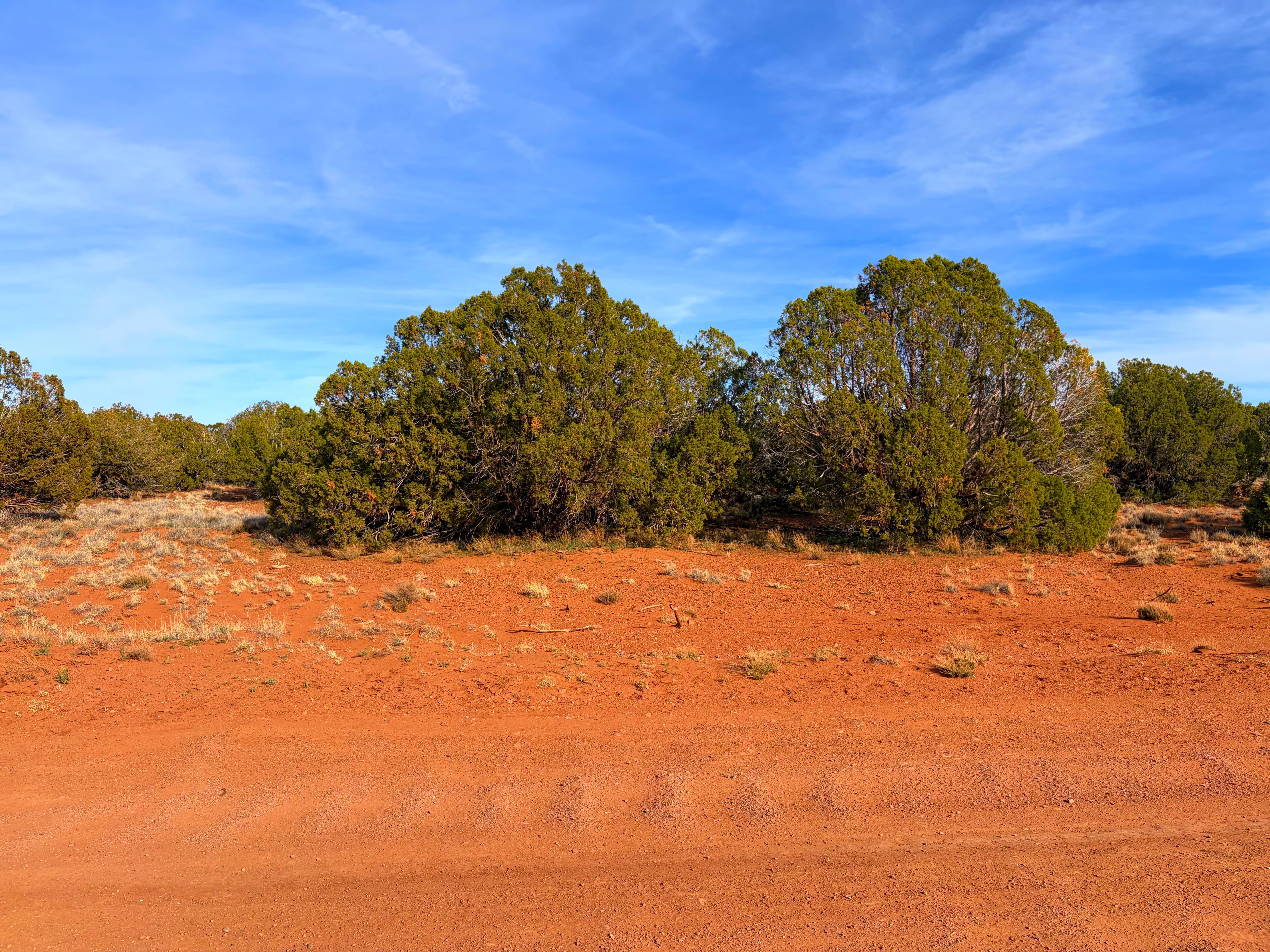 Snowflake AZ — 1.2 acres with financing available, Snowflake AZ — photo 5