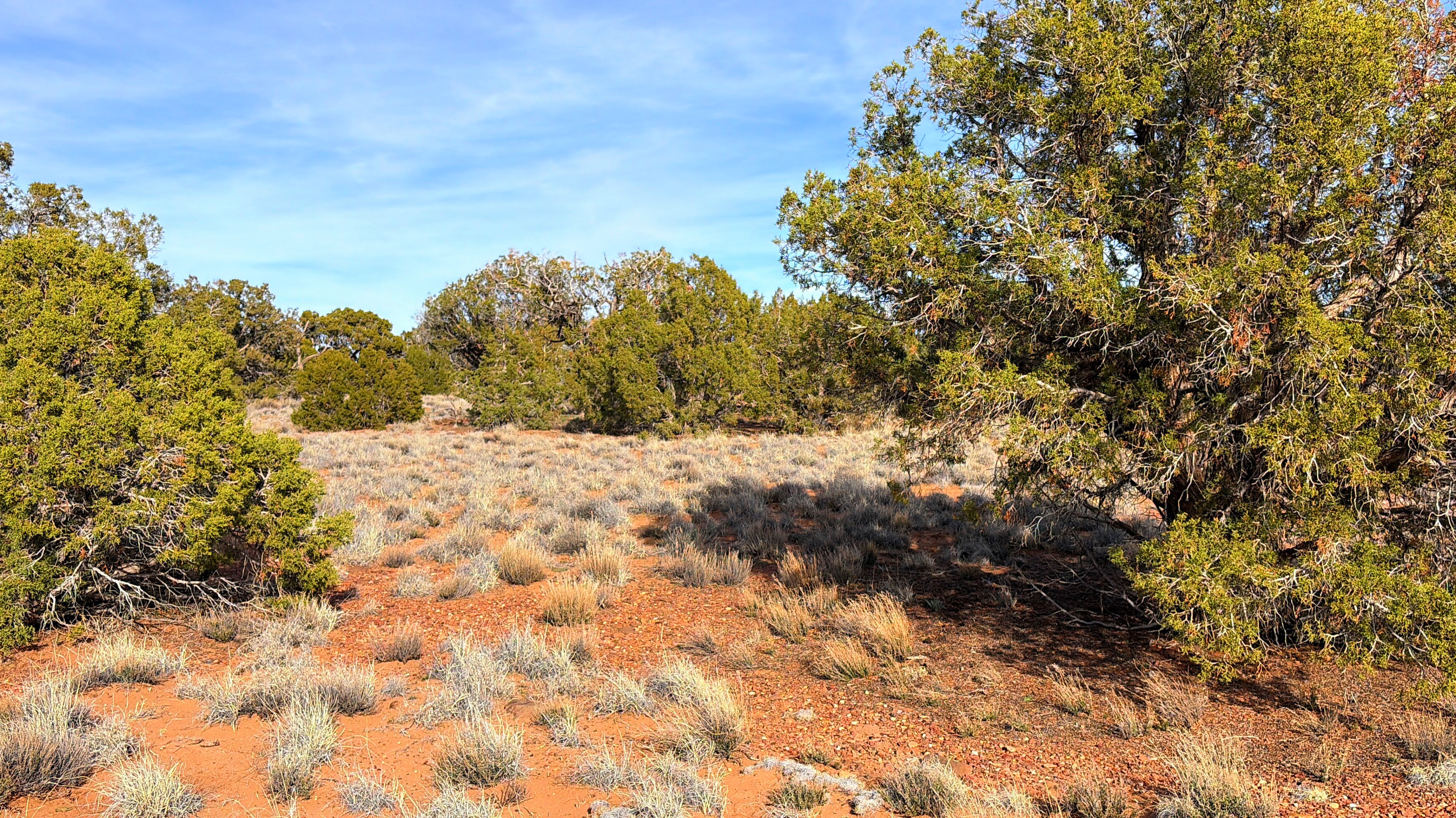 Snowflake AZ — 1.2 acres with financing available, Snowflake AZ — photo 11