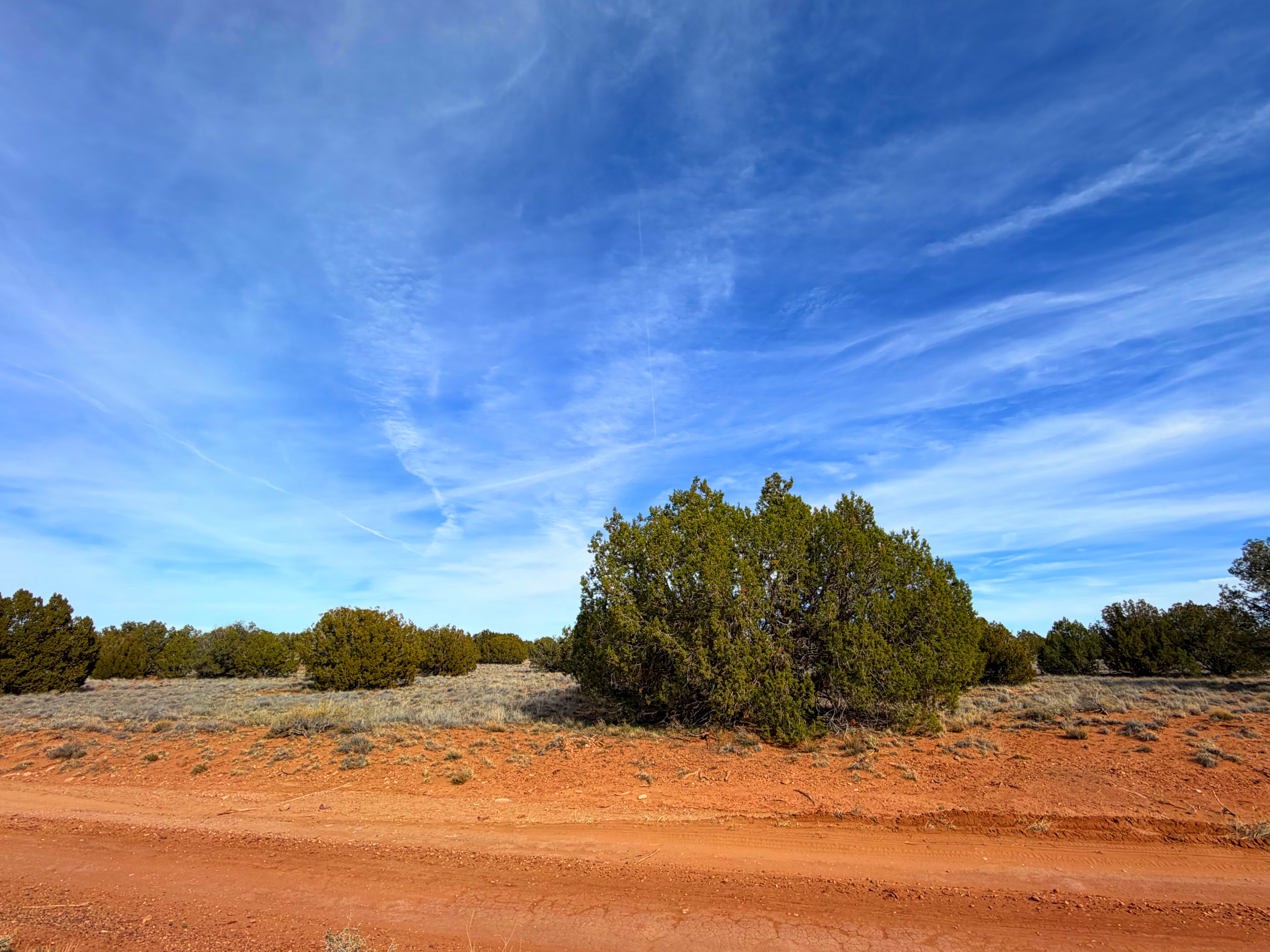 Snowflake AZ — 1.2 acres with financing available, Snowflake AZ — photo 26