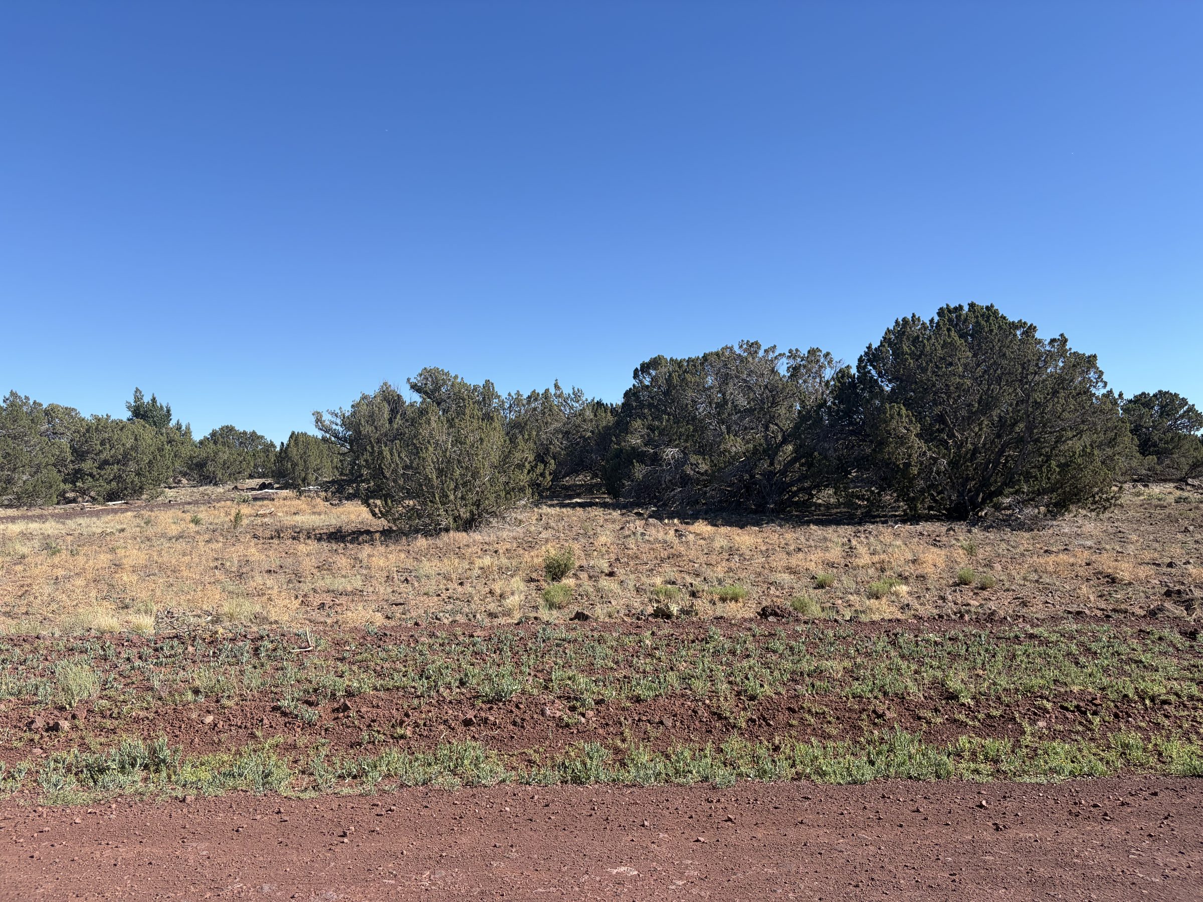 1.2 Acres in Show Low | White Mountains Getaway, Show Low AZ — photo 32