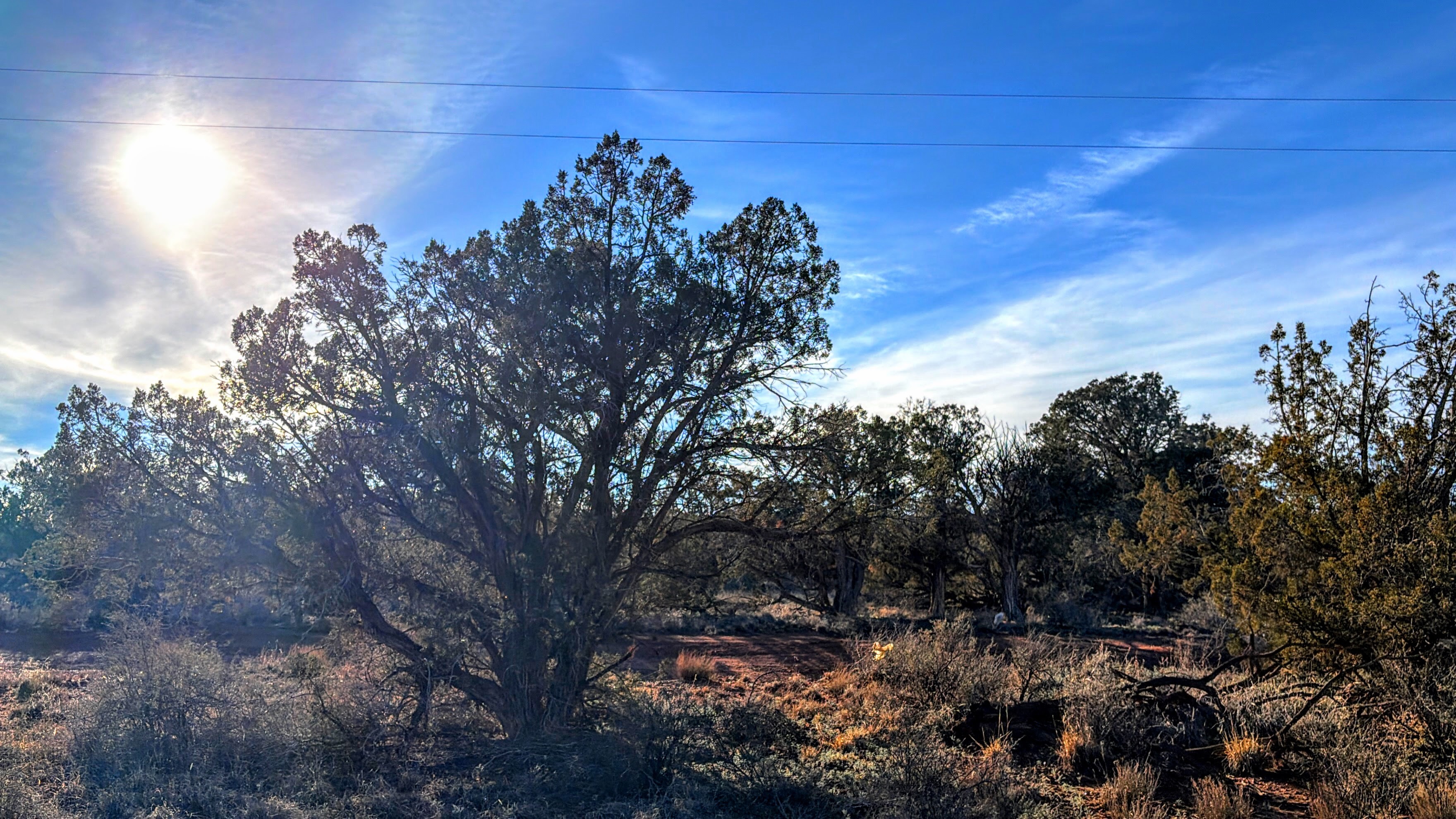 Snowflake AZ — 1.18 acres with financing available, Snowflake AZ — photo 12