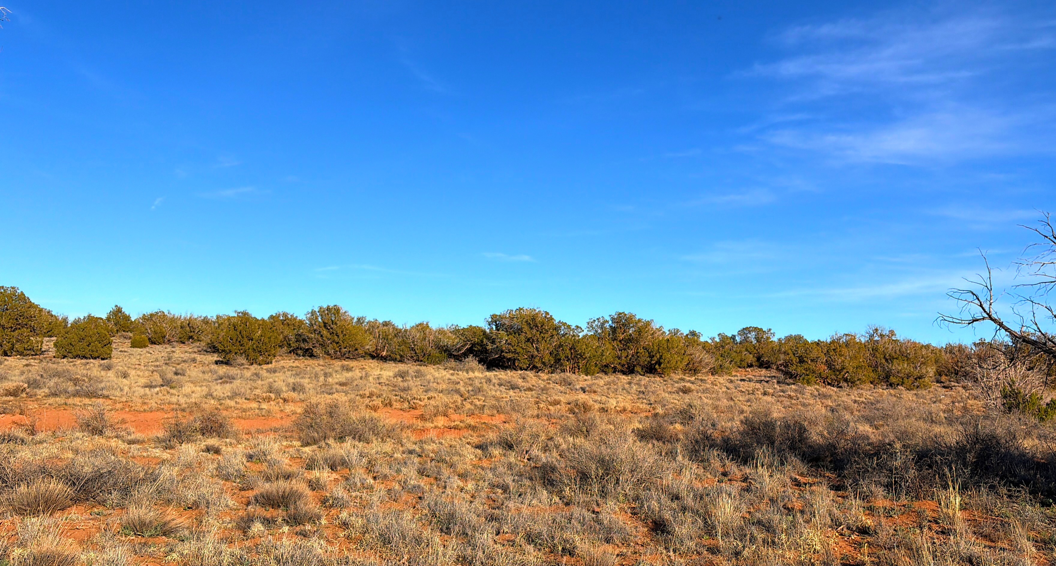 Snowflake AZ — 1.18 acres with financing available, Snowflake AZ — photo 8