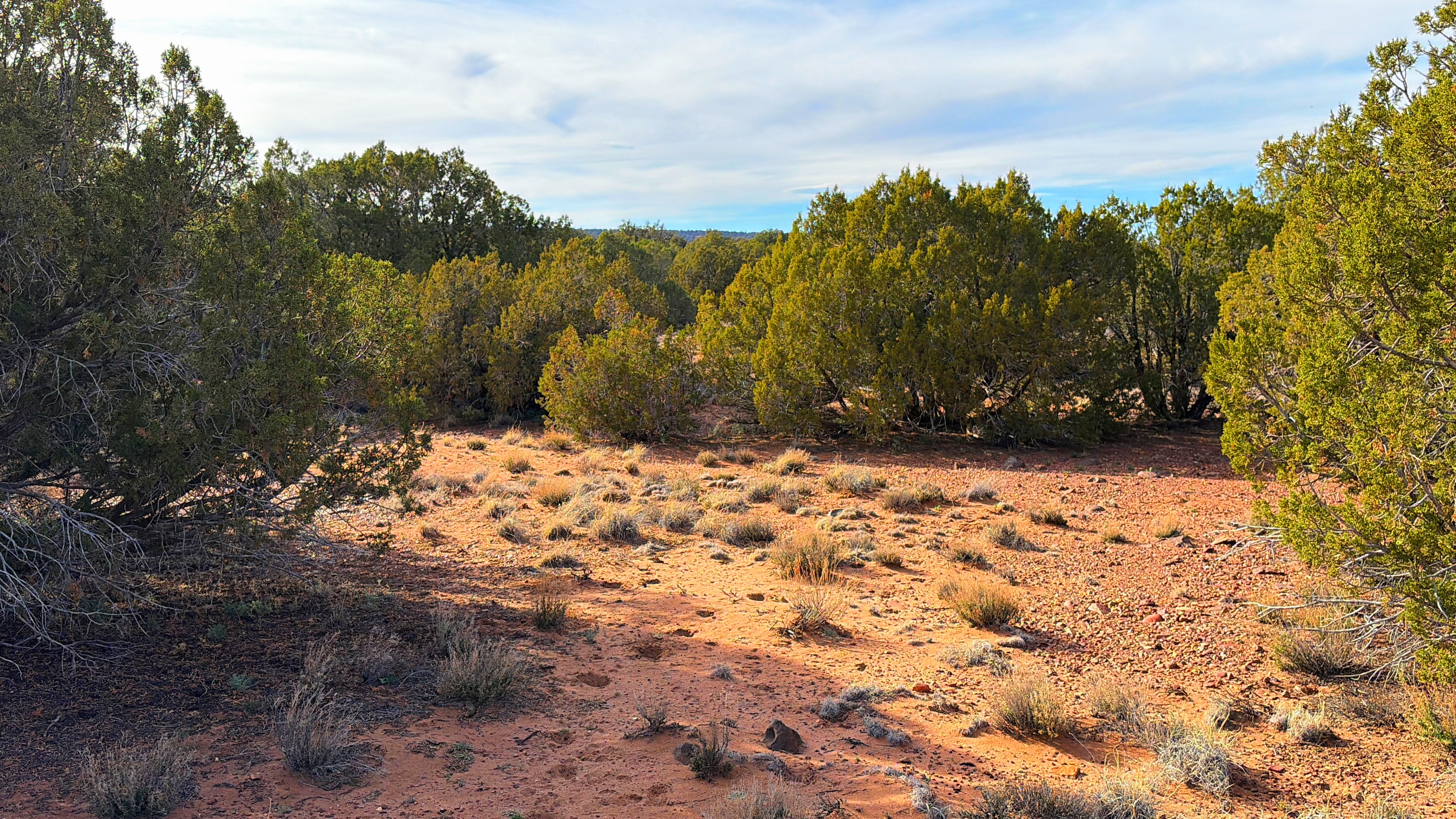 Snowflake AZ — 1.2 acres with financing available, Snowflake AZ — photo 8