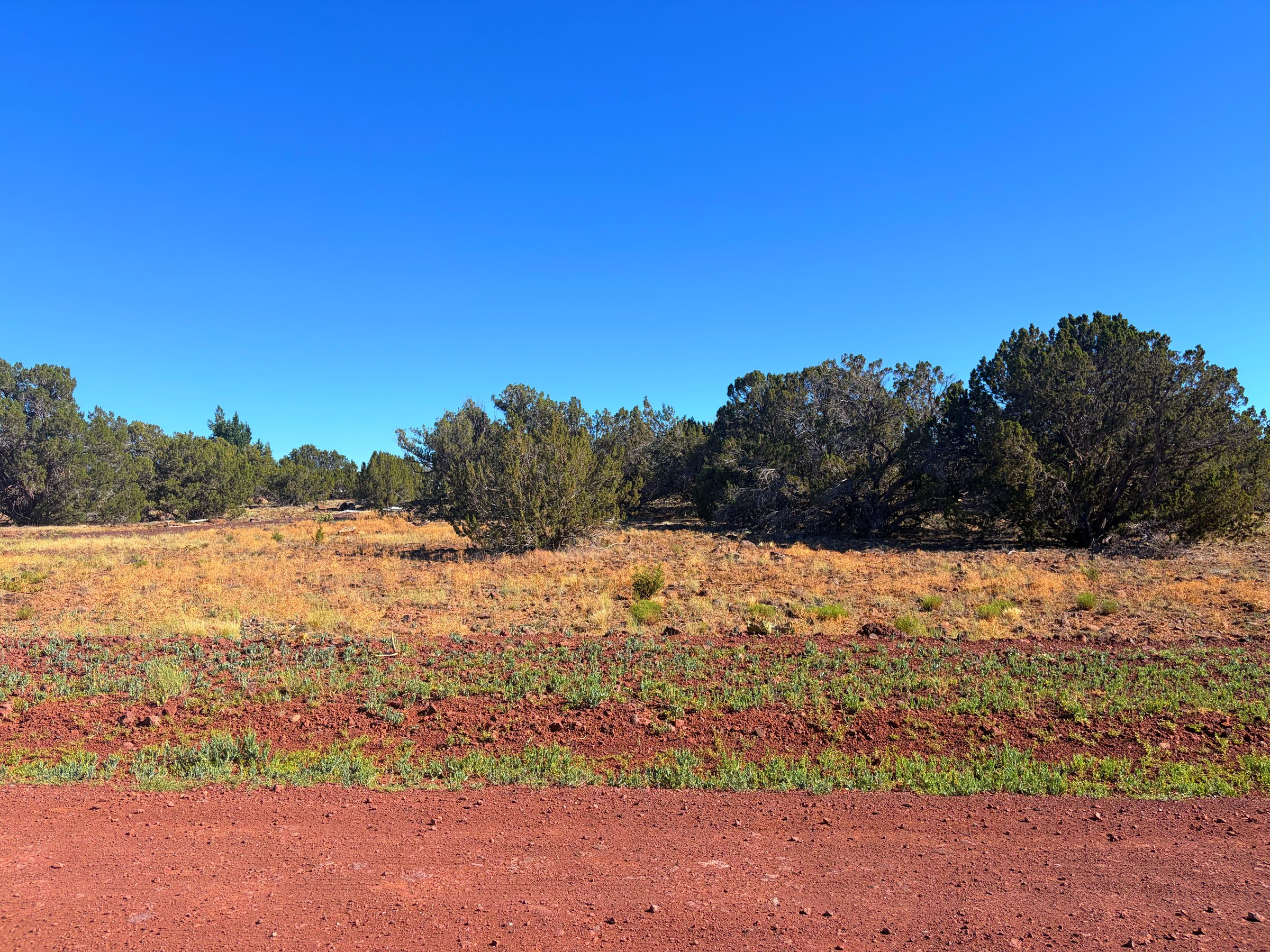 1.2 Acres in Show Low | White Mountains Getaway, Show Low AZ — photo 33