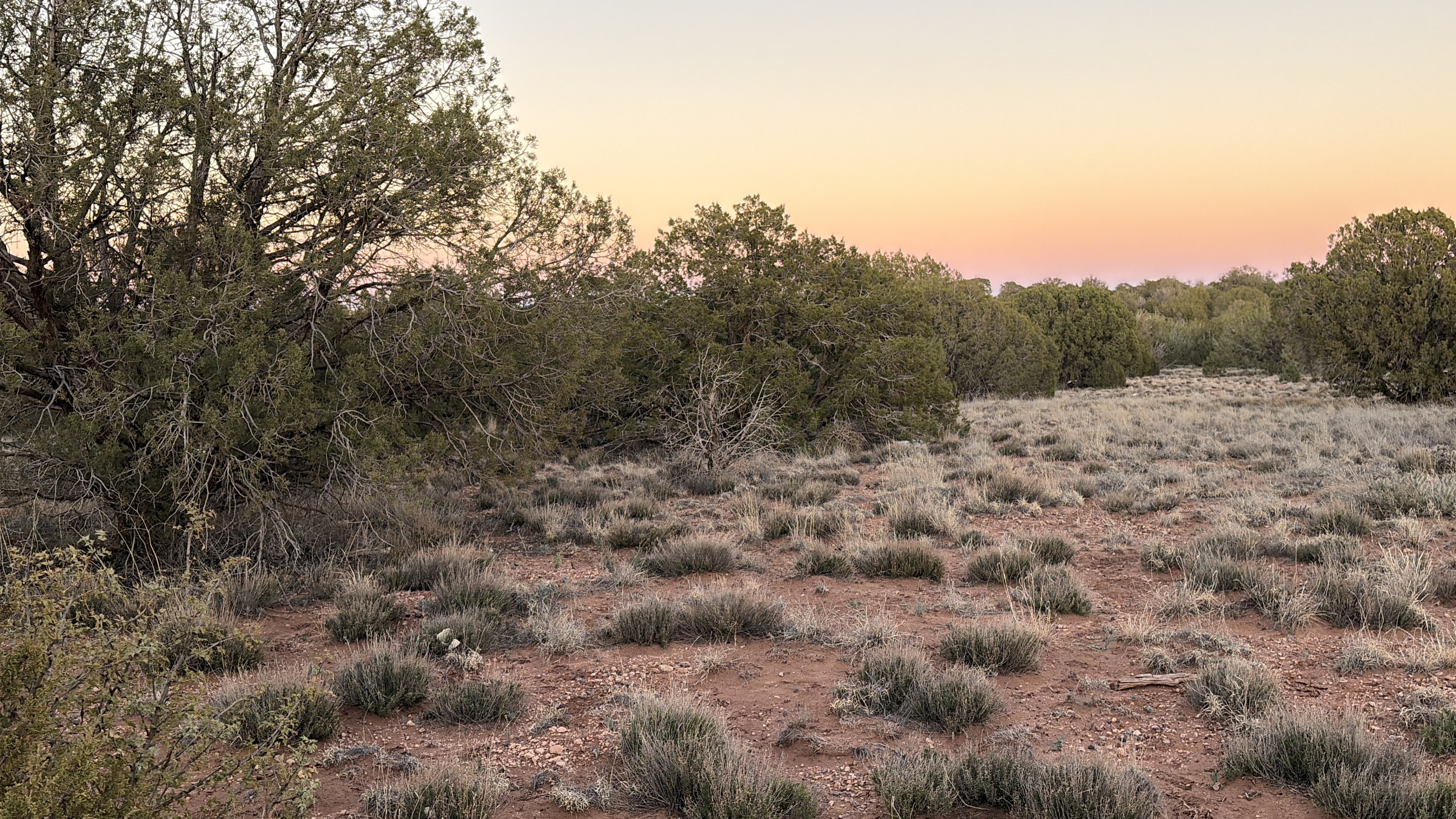 Snowflake AZ — 1.12 acres with financing available, Snowflake AZ — photo 25