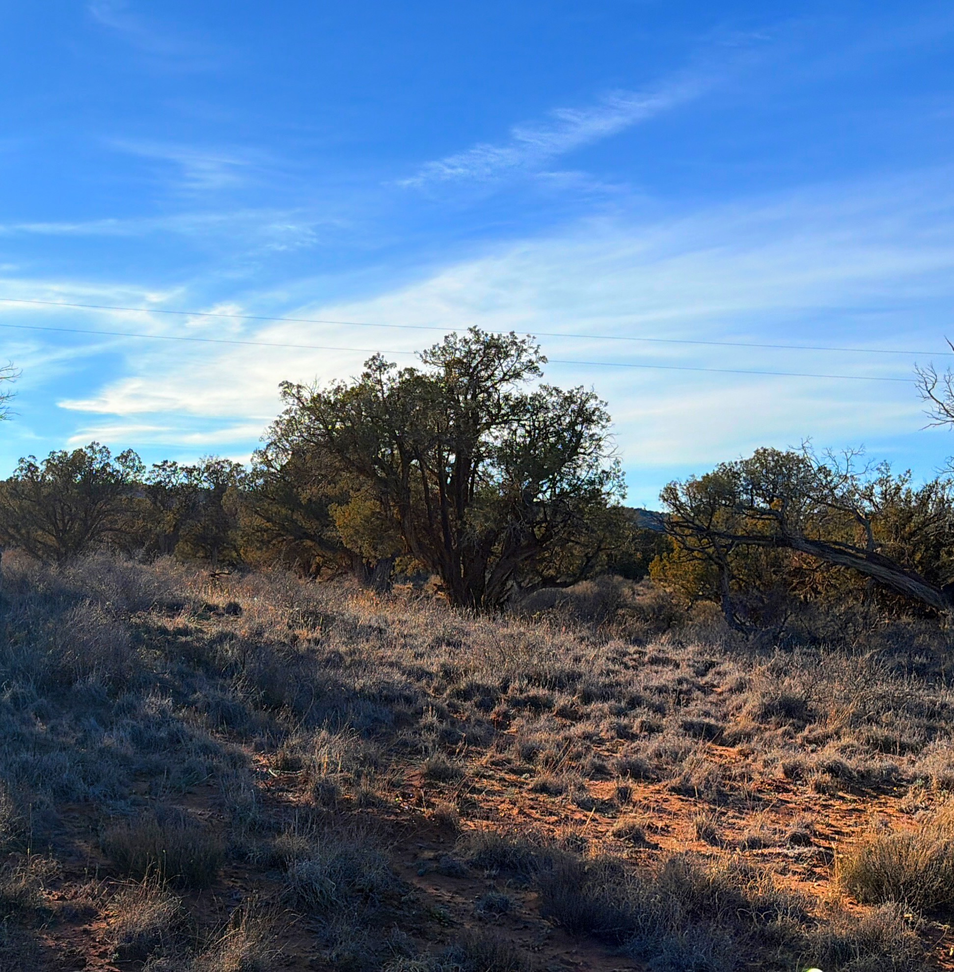 Snowflake AZ — 1.18 acres with financing available, Snowflake AZ — photo 9