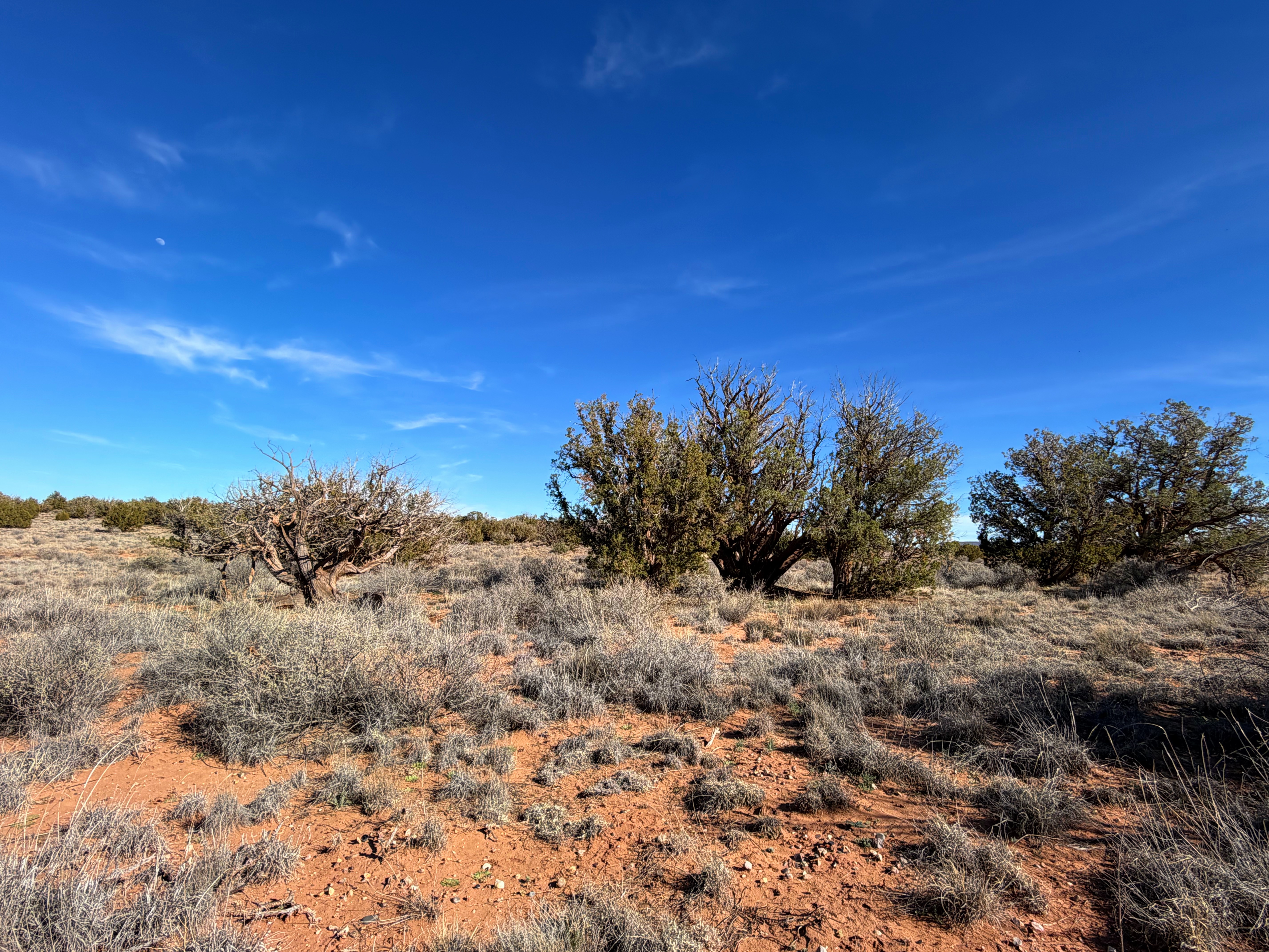 Snowflake AZ — 1.18 acres with financing available, Snowflake AZ — photo 8