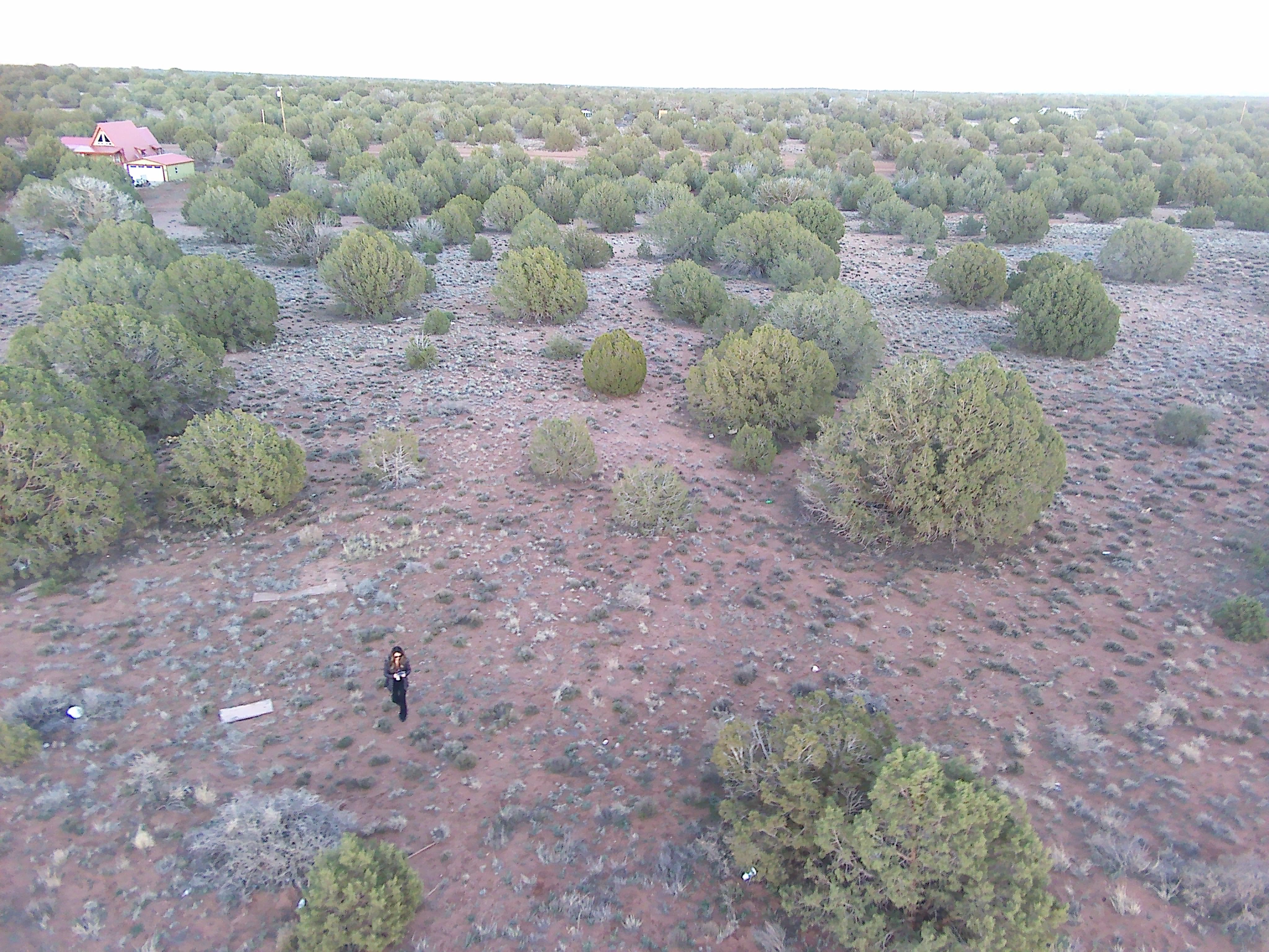 Snowflake AZ — 1.12 acres with financing available, Snowflake AZ — photo 14