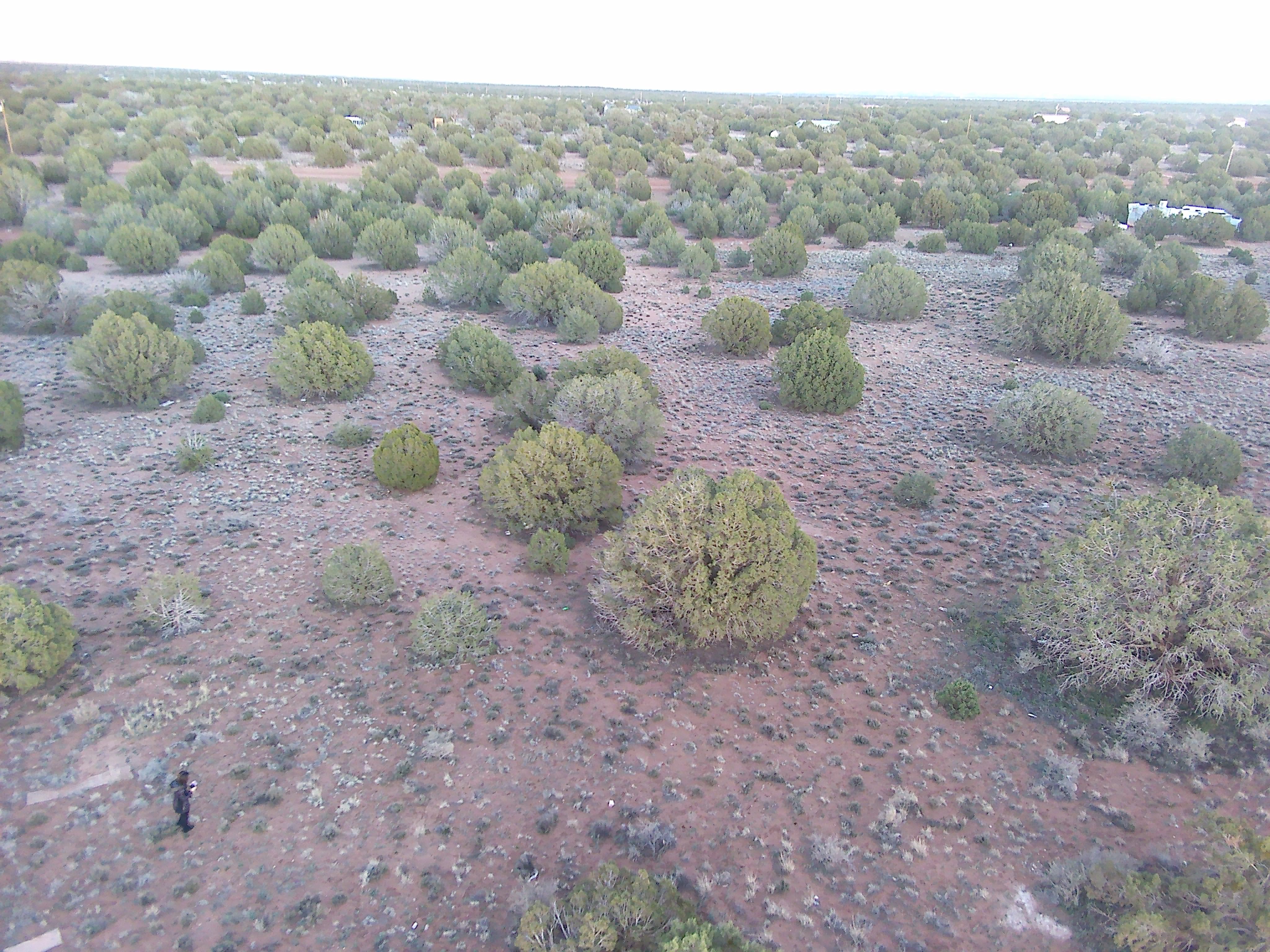Snowflake AZ — 1.12 acres with financing available, Snowflake AZ — photo 13