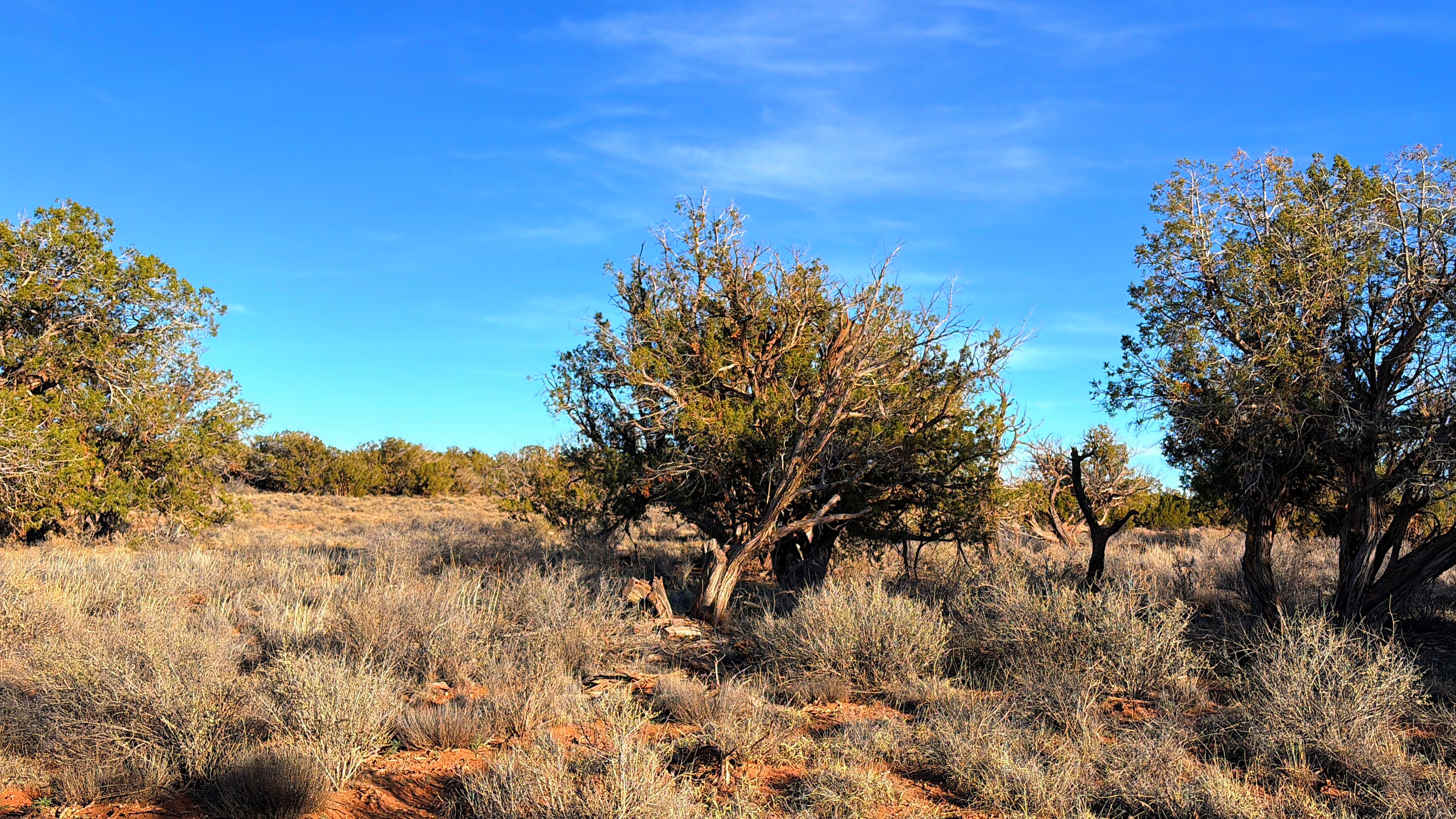 Snowflake AZ — 1.18 acres with financing available, Snowflake AZ — photo 5