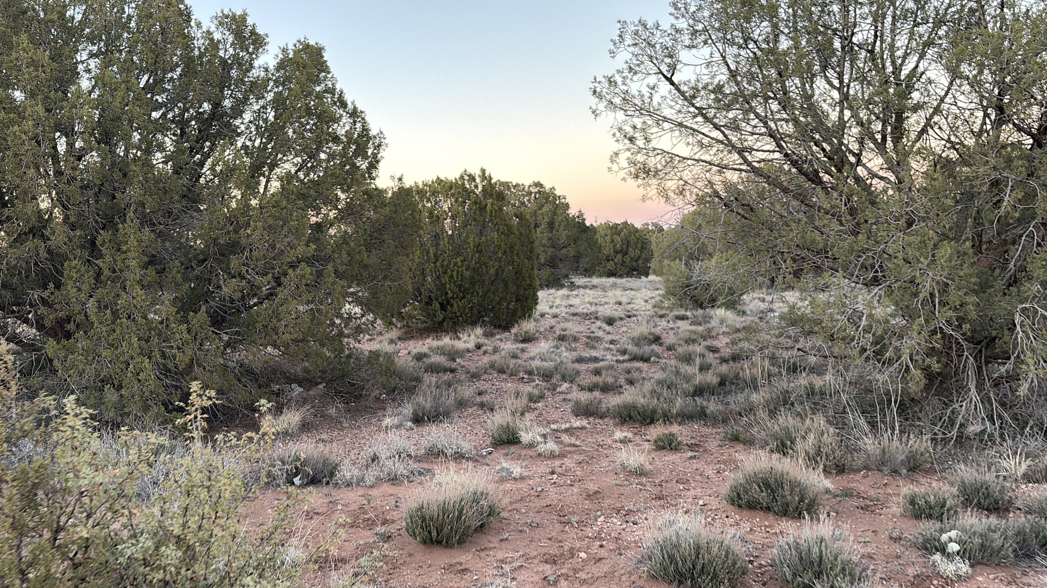 Snowflake AZ — 1.12 acres with financing available, Snowflake AZ — photo 22
