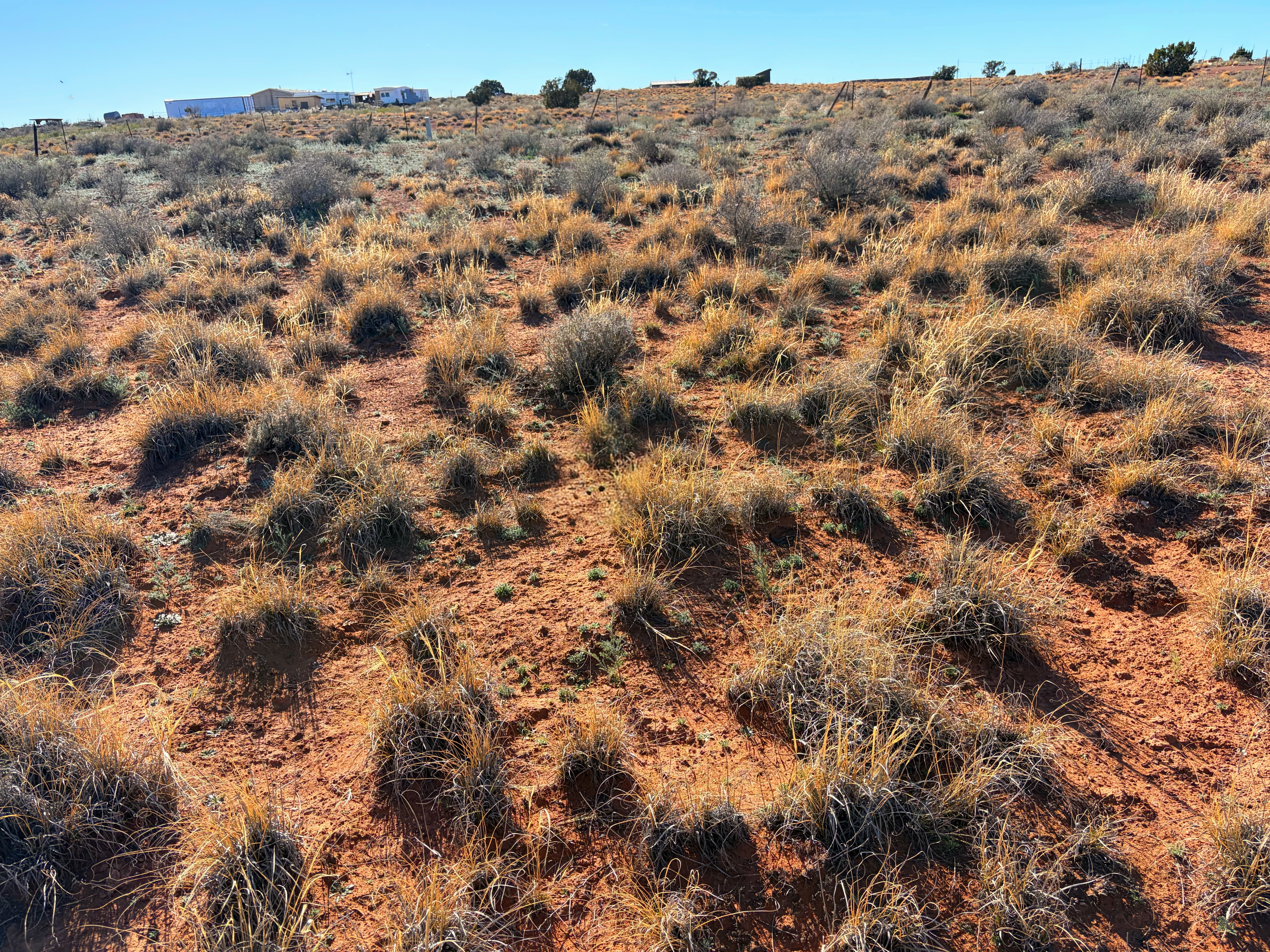 Snowflake AZ — 1.3 acres with financing available, Snowflake AZ — photo 22