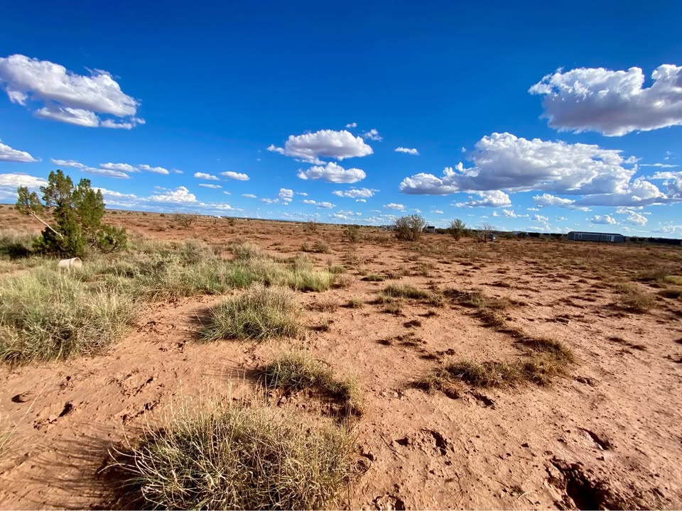 Snowflake AZ — 1.26 acres with financing available, Snowflake AZ — photo 13
