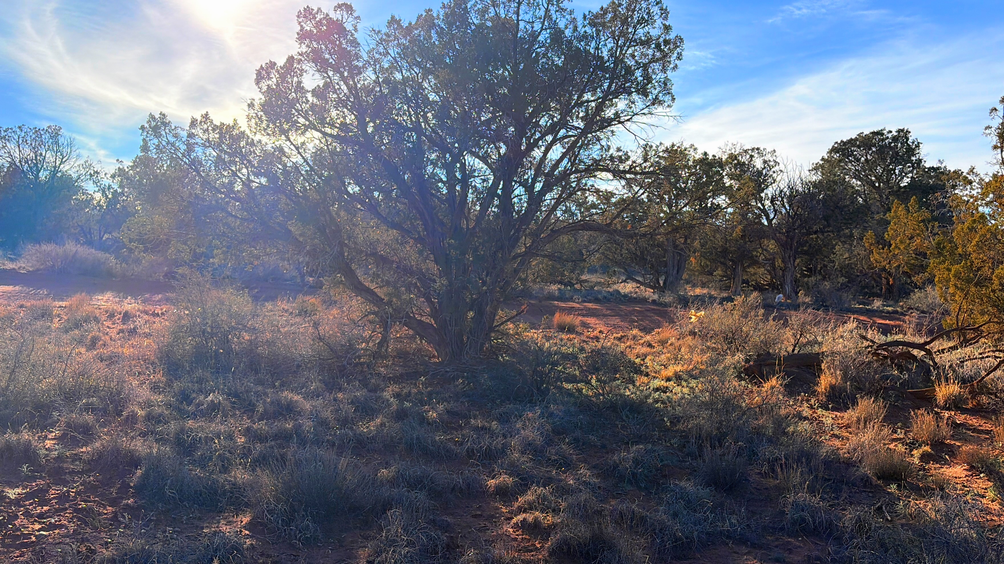 Snowflake AZ — 1.18 acres with financing available, Snowflake AZ — photo 11