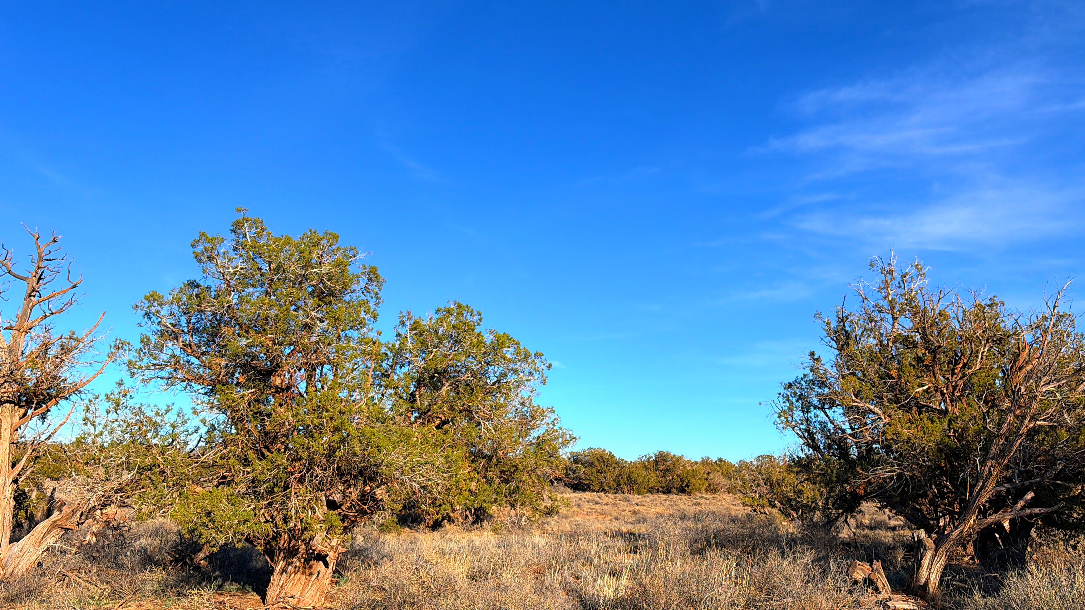 Snowflake AZ — 1.18 acres with financing available, Snowflake AZ — photo 4
